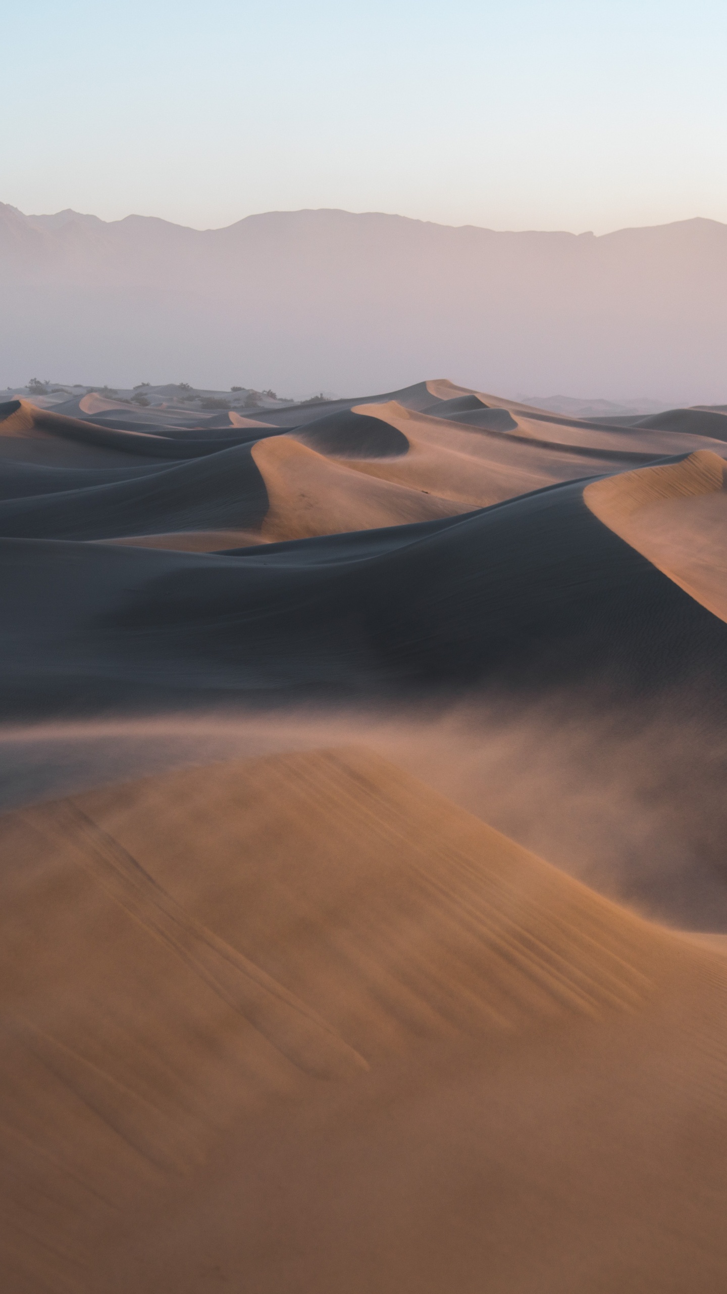 el Valle de la Muerte, Macaron, Naturaleza, Arte, Ecorregión. Wallpaper in 1440x2560 Resolution