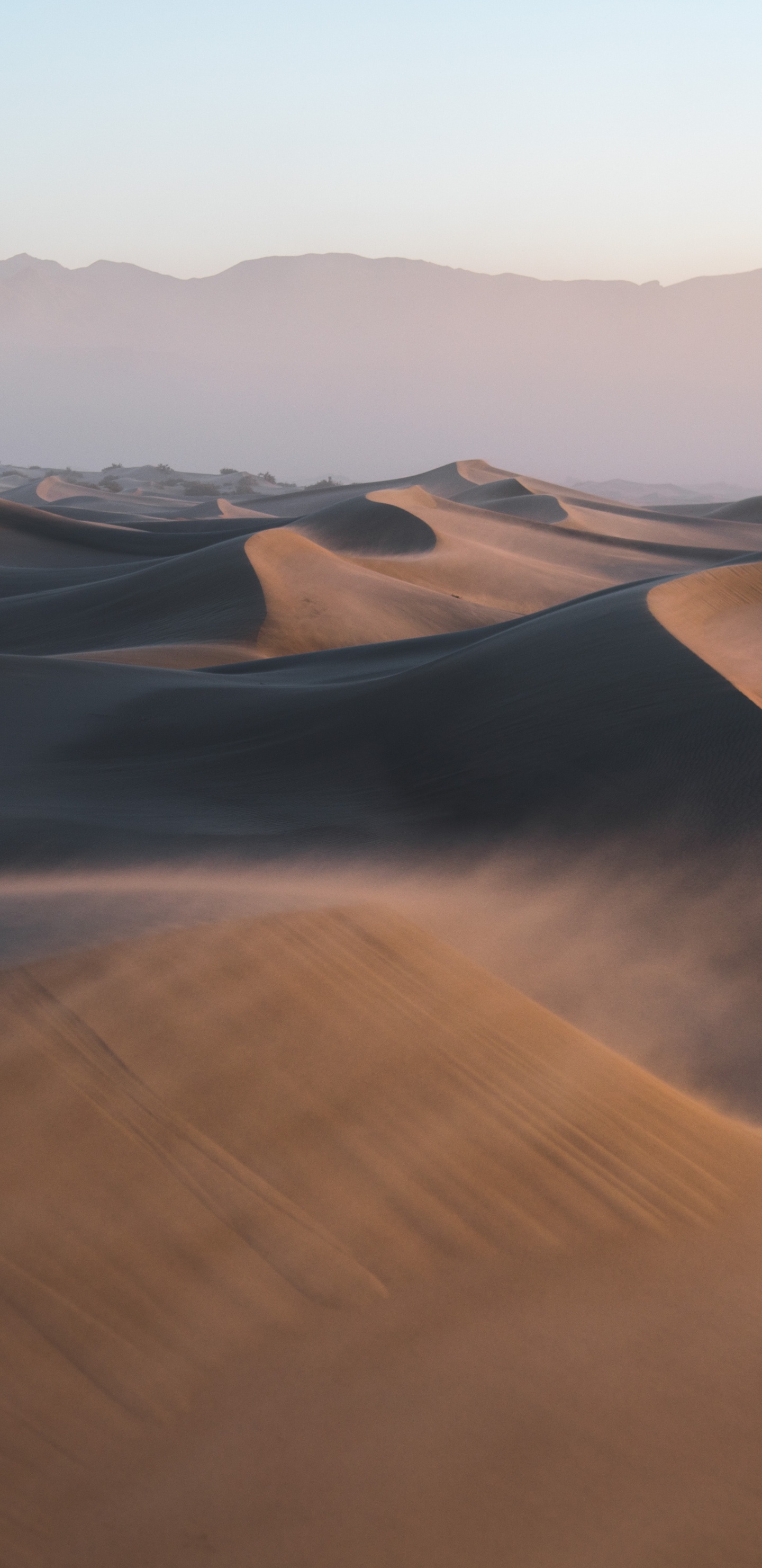 死亡谷, 马卡, 性质, 艺术, 生态区 壁纸 1440x2960 允许