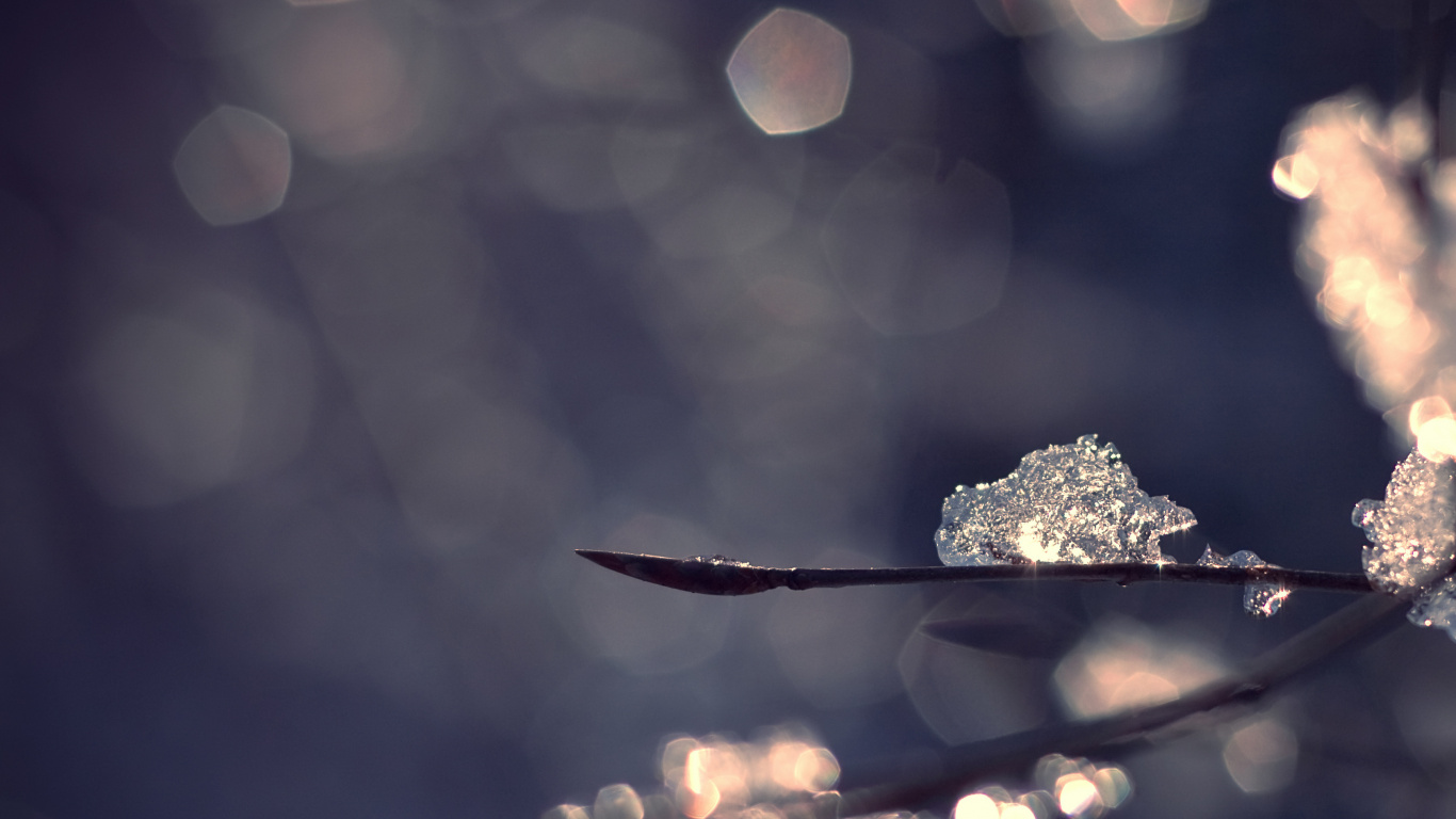 Water Droplets on Brown Leaf. Wallpaper in 1366x768 Resolution