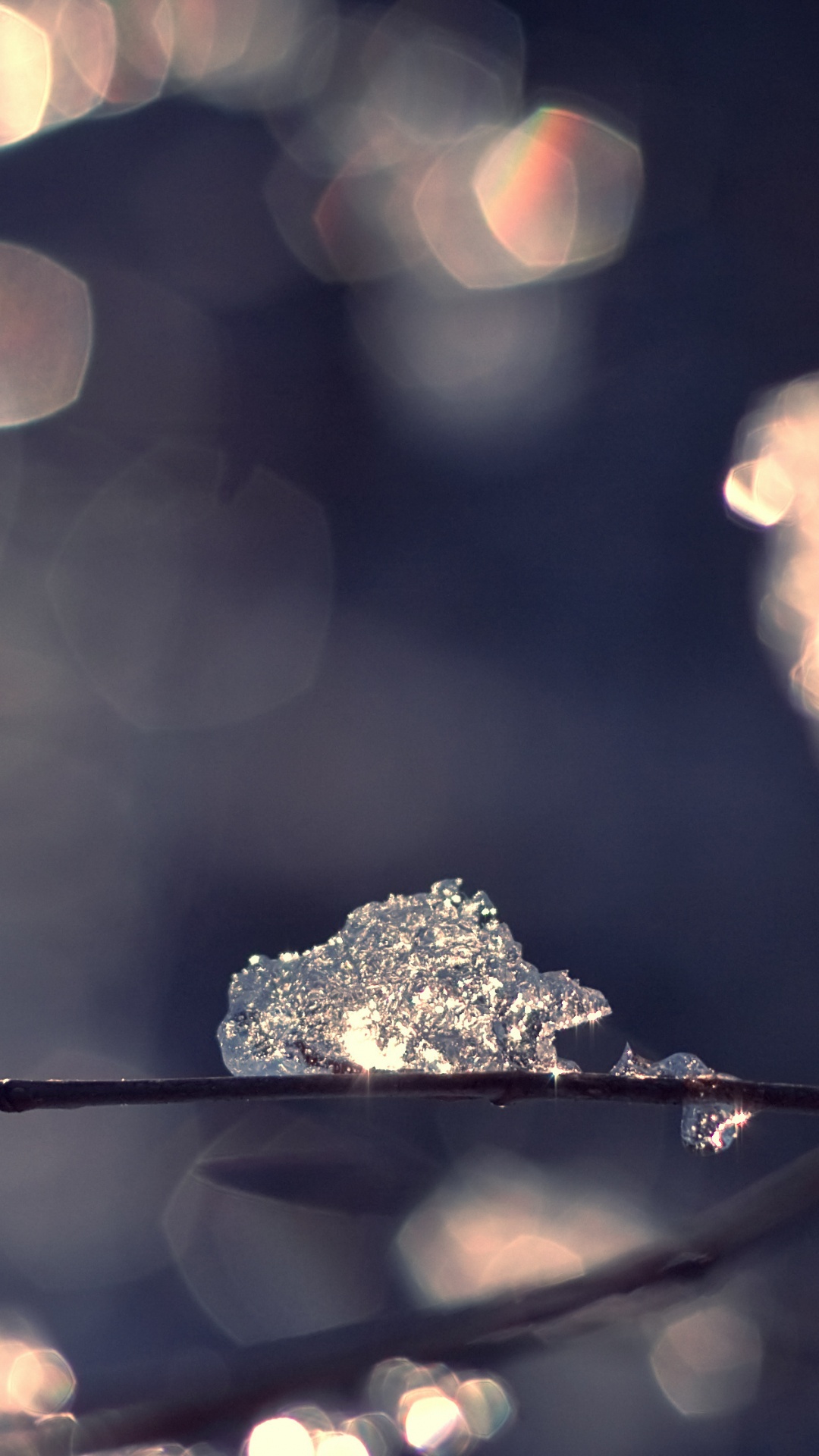 Gouttelettes D'eau Sur Feuille Brune. Wallpaper in 1080x1920 Resolution