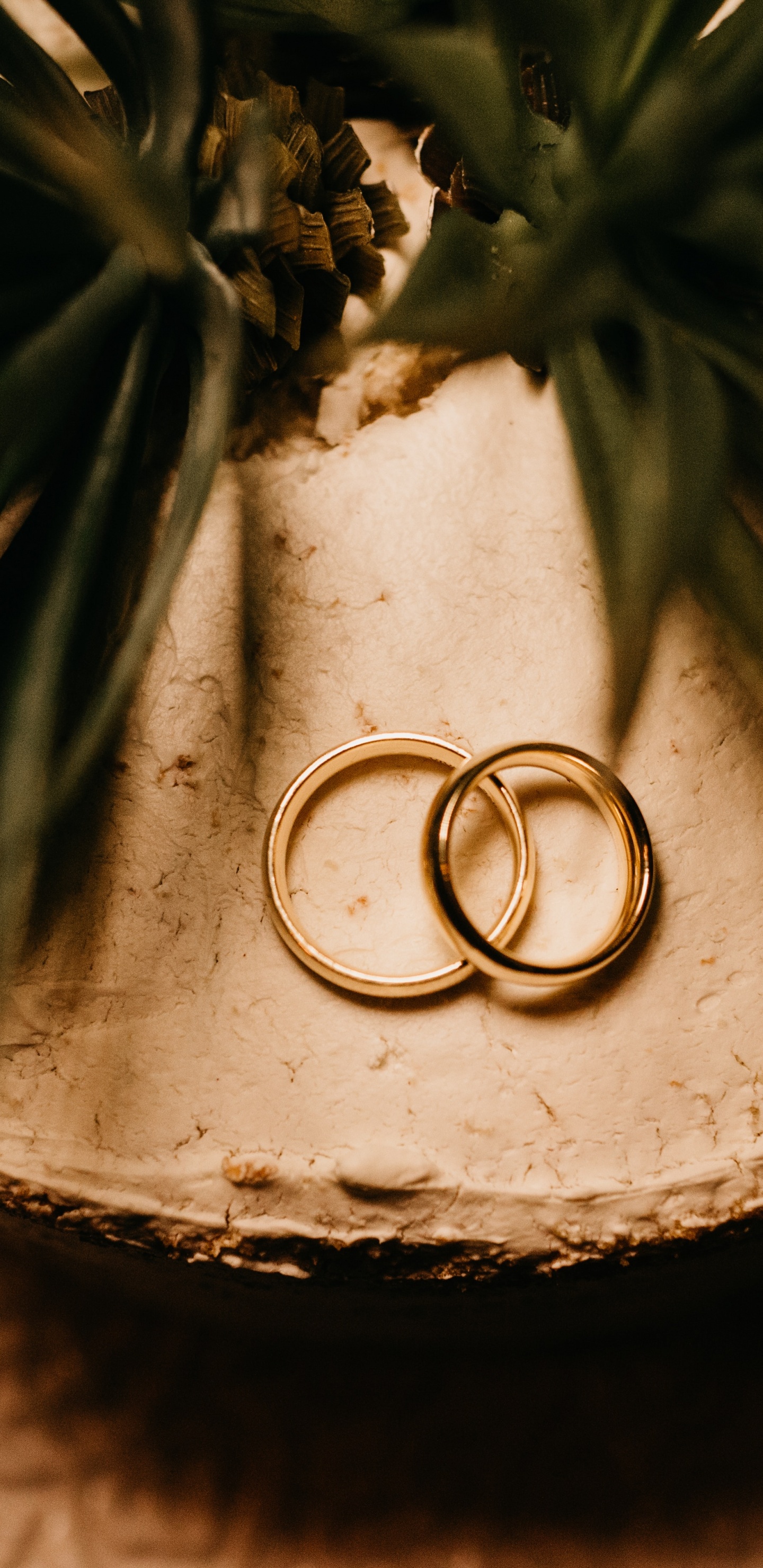 Bague en Argent Sur Plante Verte. Wallpaper in 1440x2960 Resolution