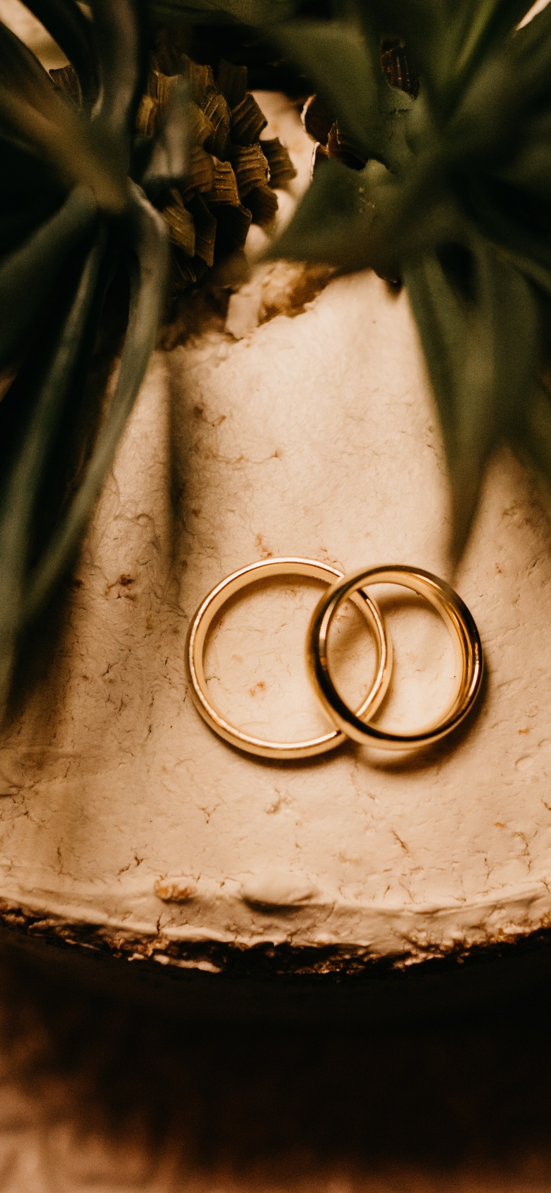 珠宝, 时尚的附件, 黄金, 结婚戒指, 钻石 壁纸 1125x2436 允许