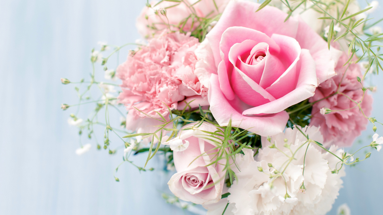 Pink Roses in White Ceramic Vase. Wallpaper in 1280x720 Resolution