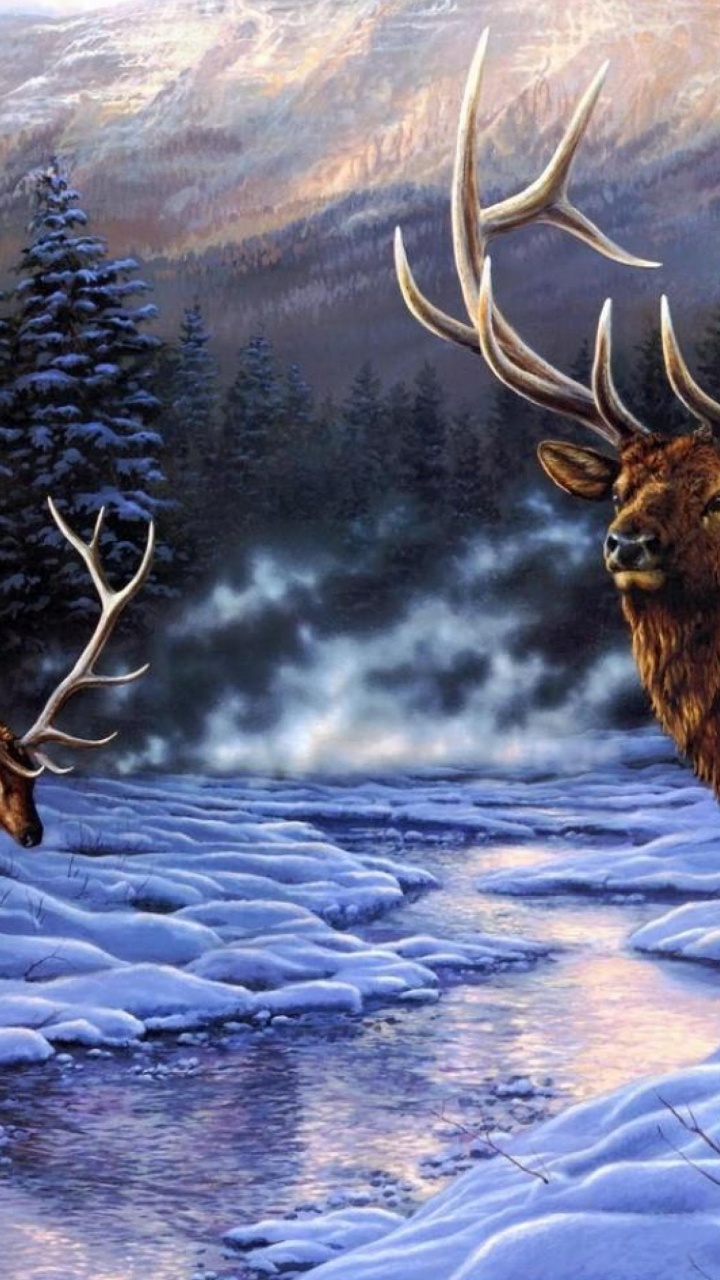 Cerf Brun Sur un Sol Couvert de Neige Pendant la Journée. Wallpaper in 720x1280 Resolution