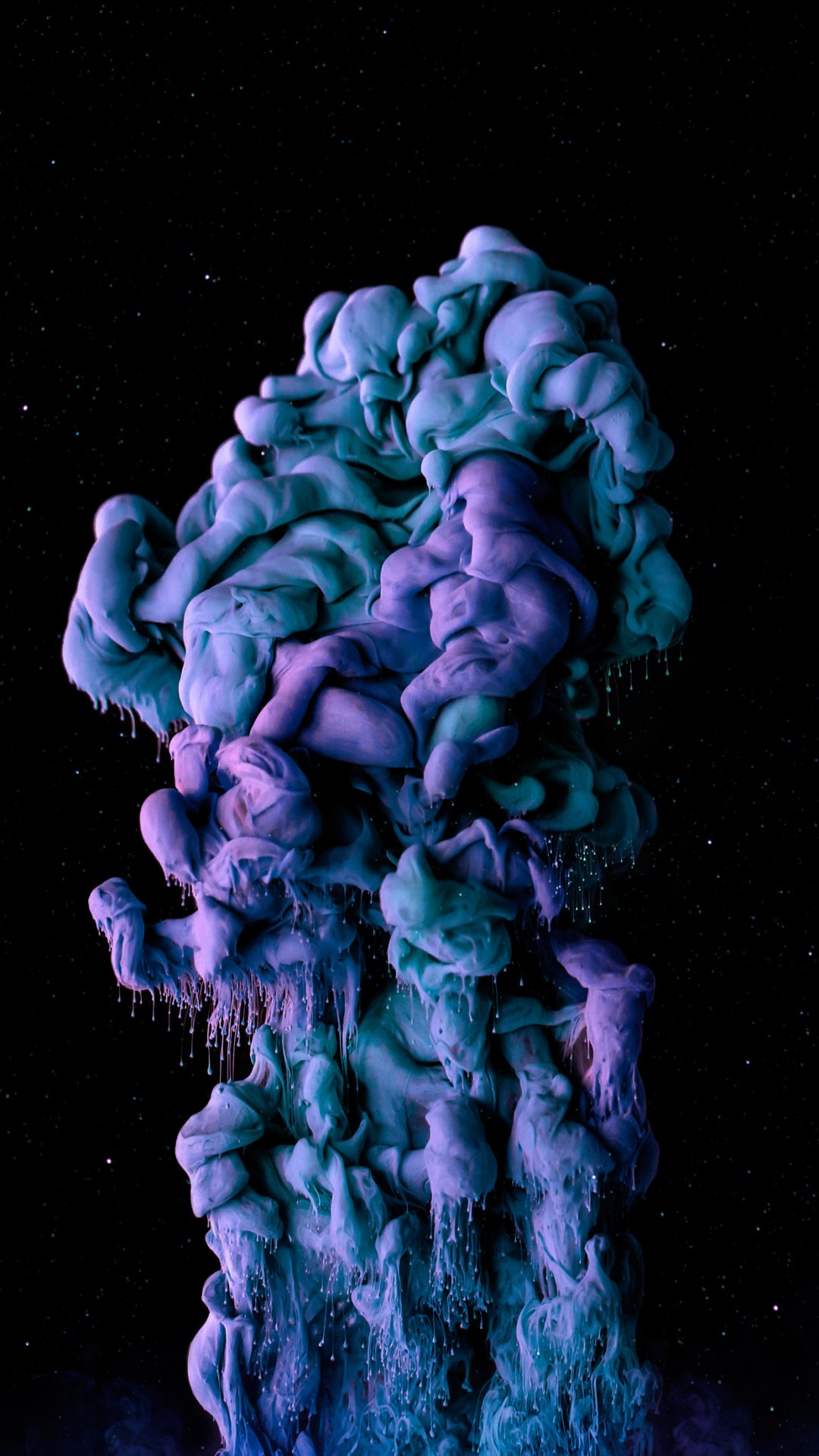 Biologie Marine, Purple, Pétale, Corail, le Récif de Corail. Wallpaper in 1080x1920 Resolution