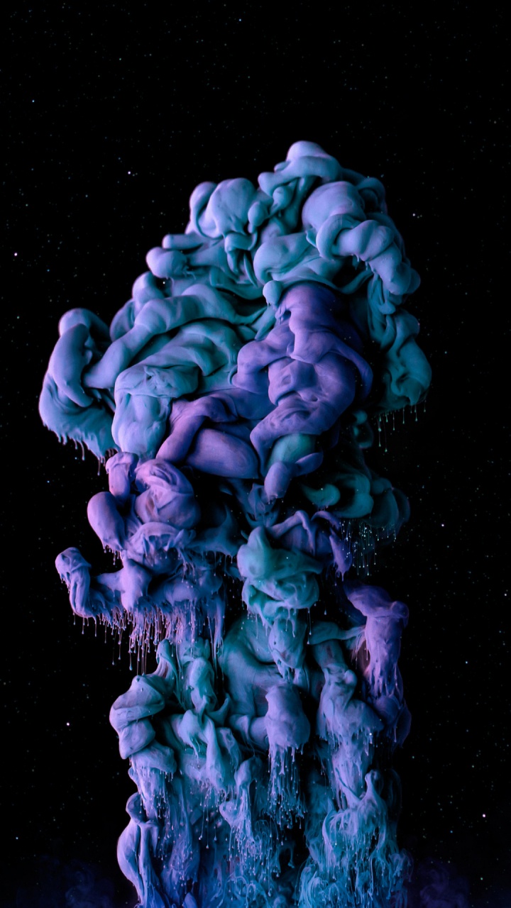 Marine Biology, Purple, Petal, Electric Blue, Coral. Wallpaper in 720x1280 Resolution