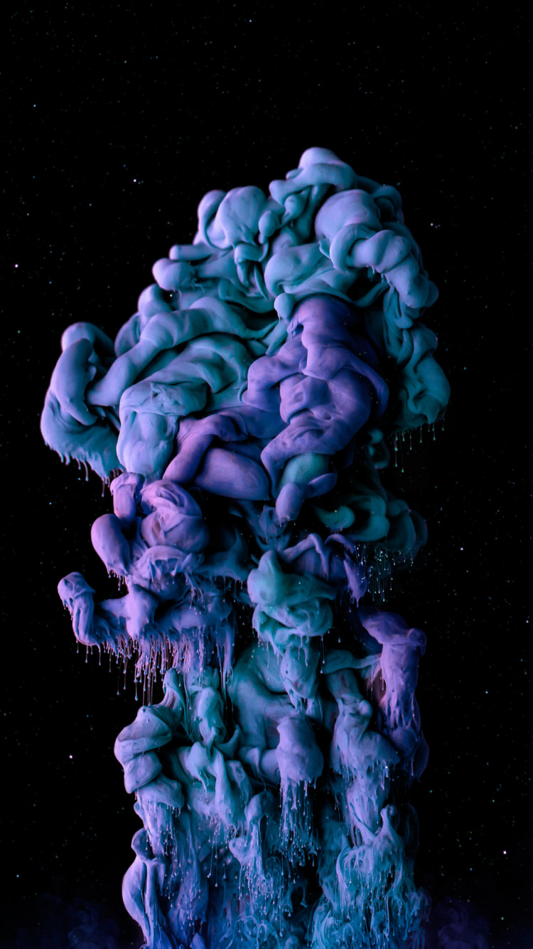 Marine Biology, Purple, Petal, Electric Blue, Coral. Wallpaper in 750x1334 Resolution