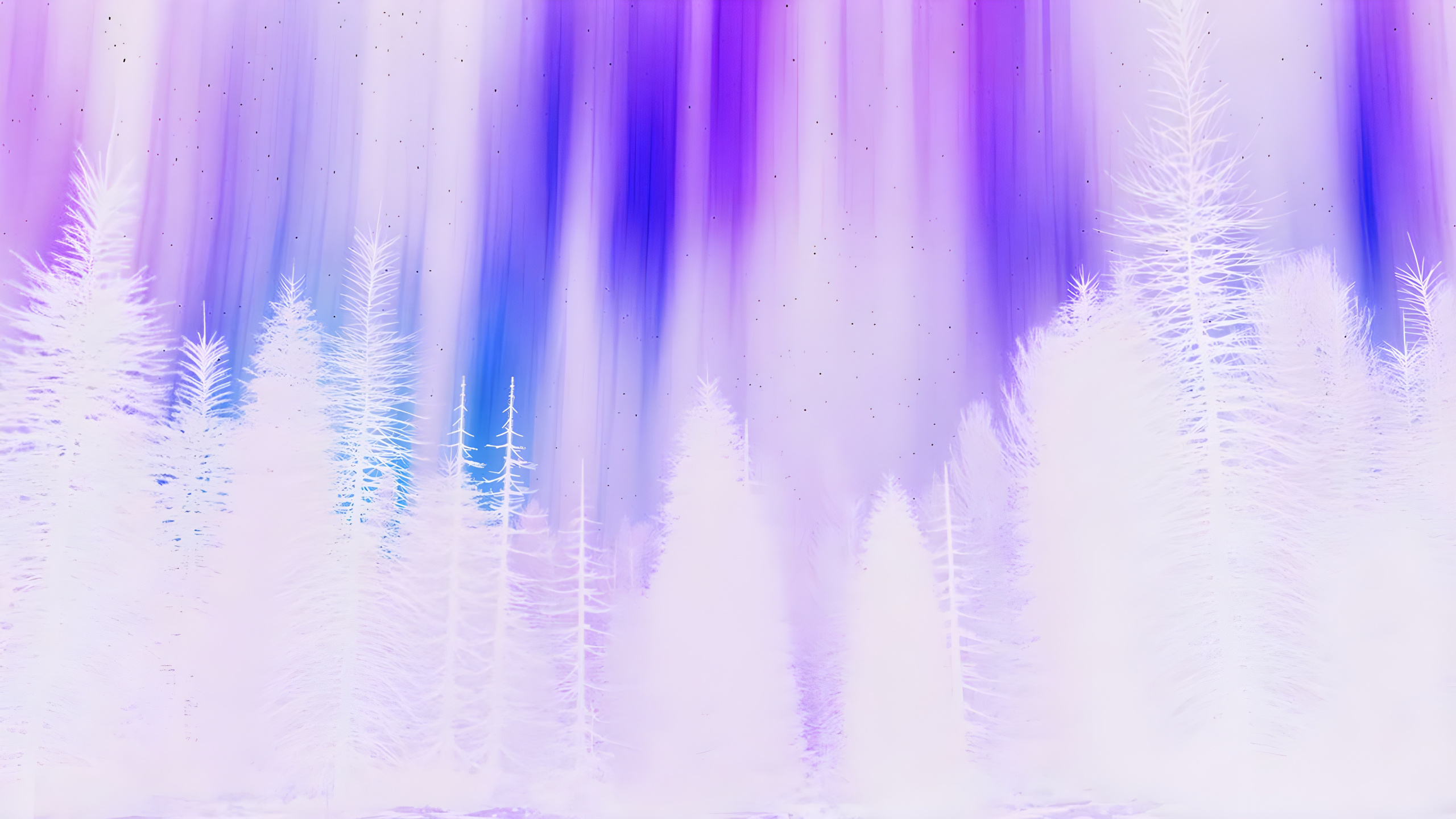 Purple White, White, Purple, Plant, Violet. Wallpaper in 2560x1440 Resolution