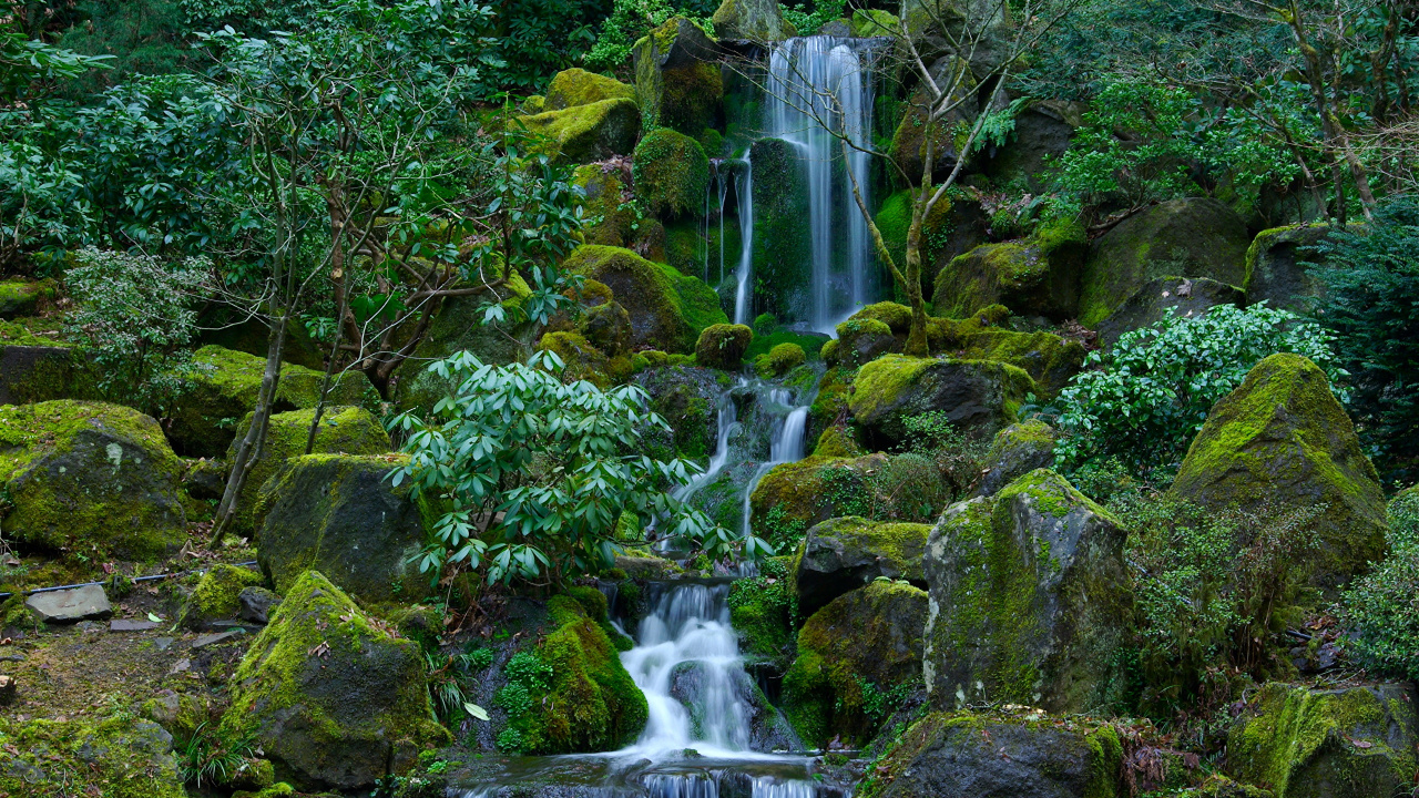 Waterfalls in The Middle of Green Moss Covered Rocks. Wallpaper in 1280x720 Resolution