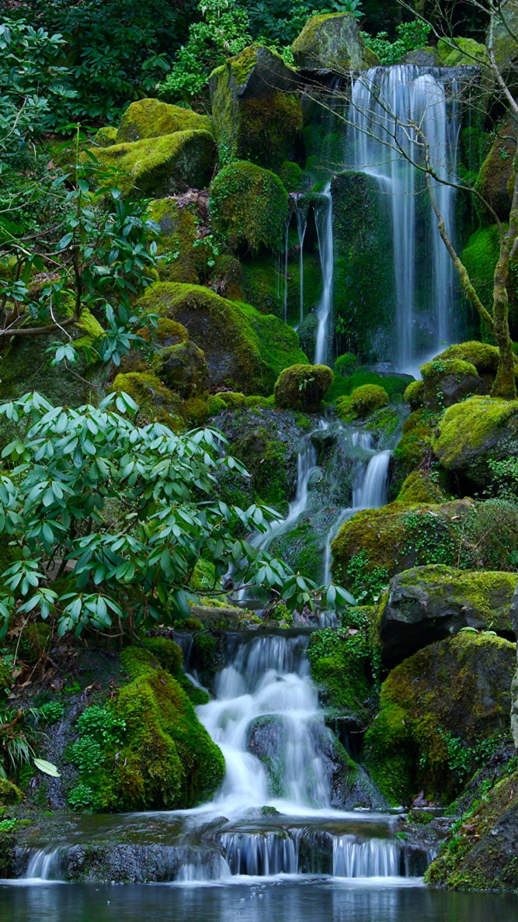 Cascadas en Medio de Rocas Cubiertas de Musgo Verde. Wallpaper in 750x1334 Resolution
