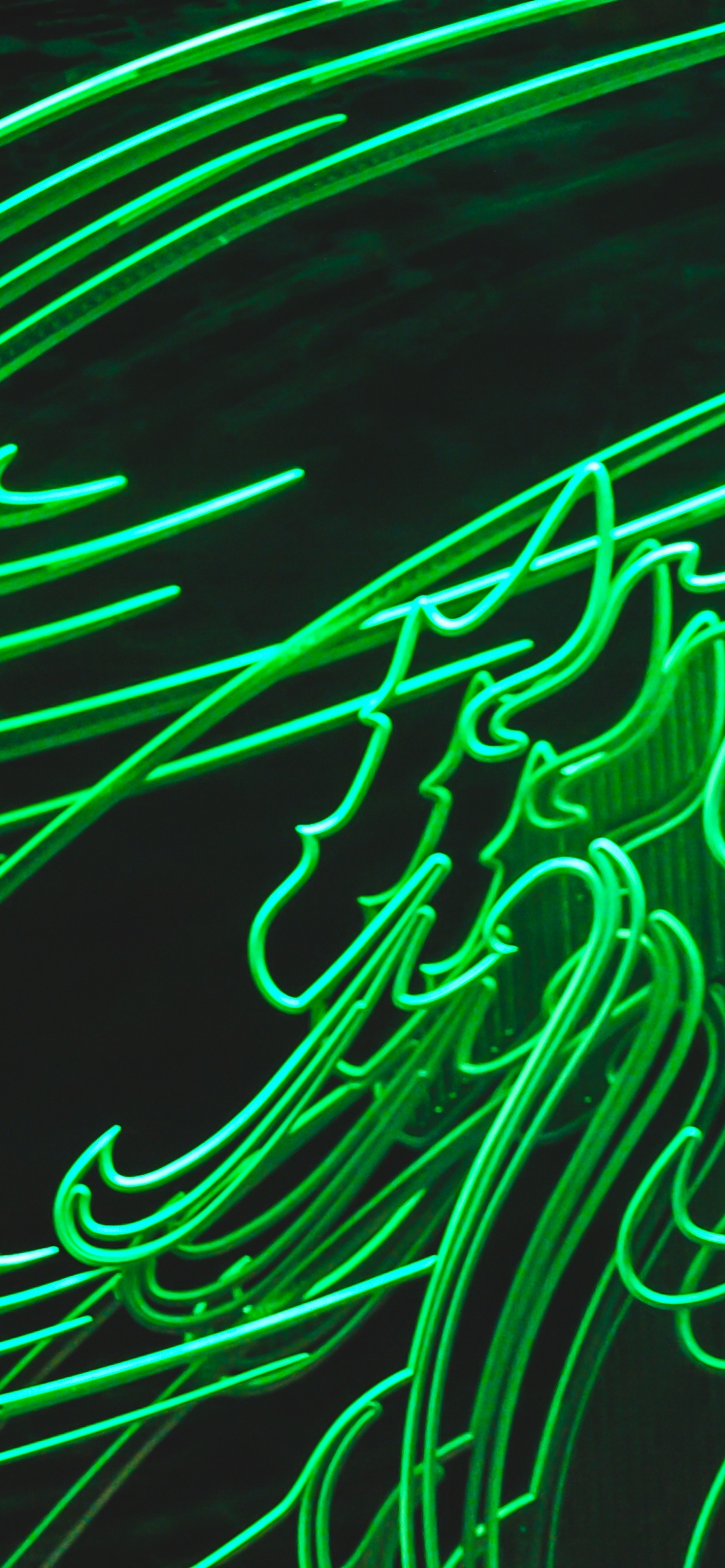 绿色的, 电子 壁纸 1242x2688 允许