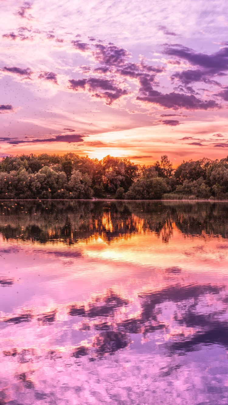 Droit de la Correspondance, Eau, Atmosphère, Les Ressources en Eau, L'écorégion. Wallpaper in 750x1334 Resolution