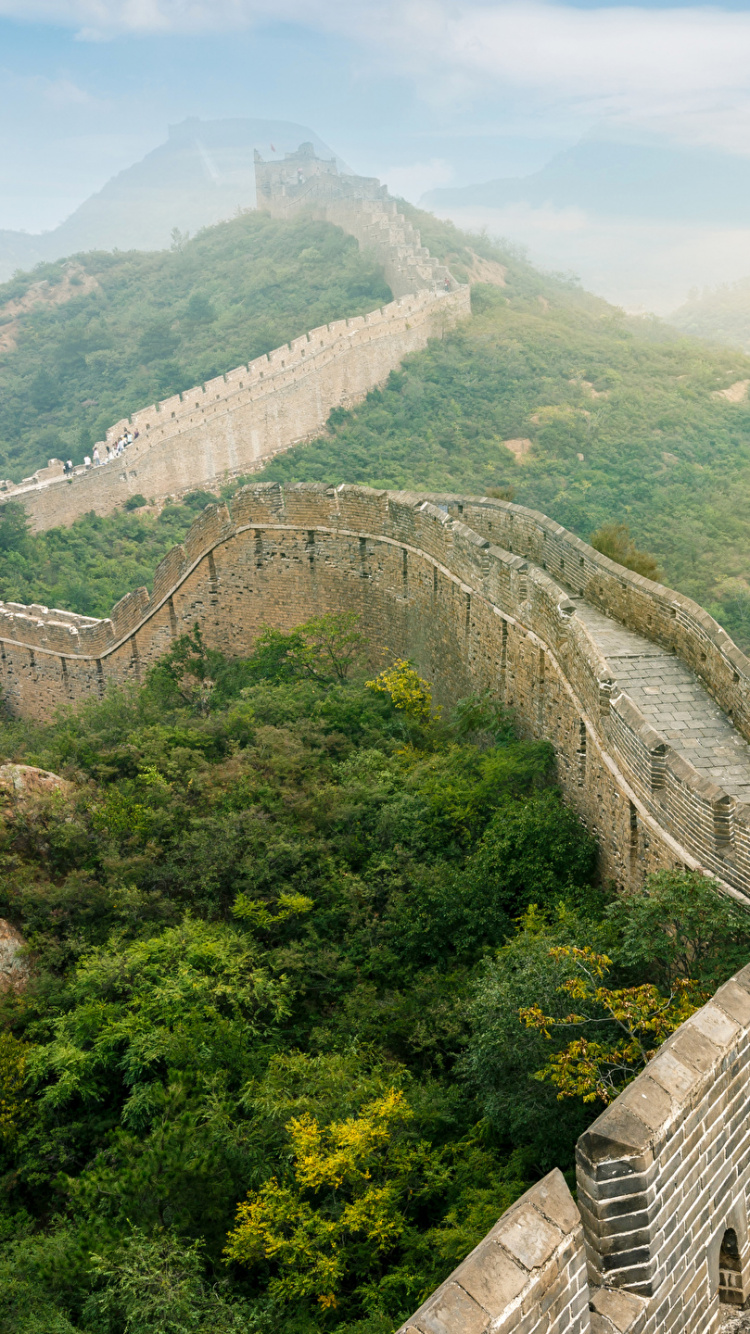 Mur de Briques de Béton Gris Près Des Arbres Verts Pendant la Journée. Wallpaper in 750x1334 Resolution