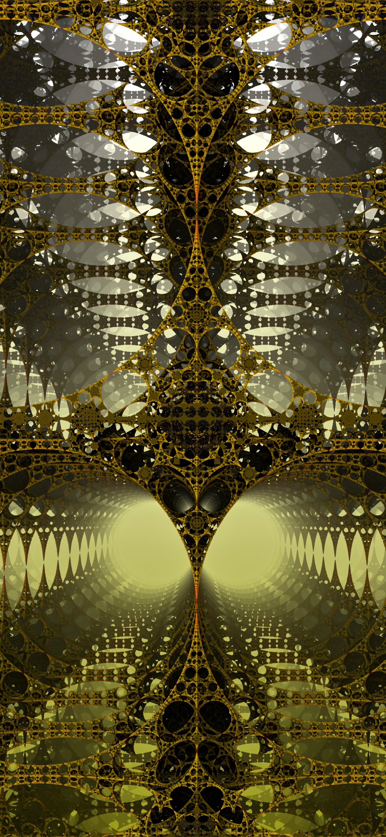 Guirlandes Lumineuses Noires et Blanches. Wallpaper in 1242x2688 Resolution