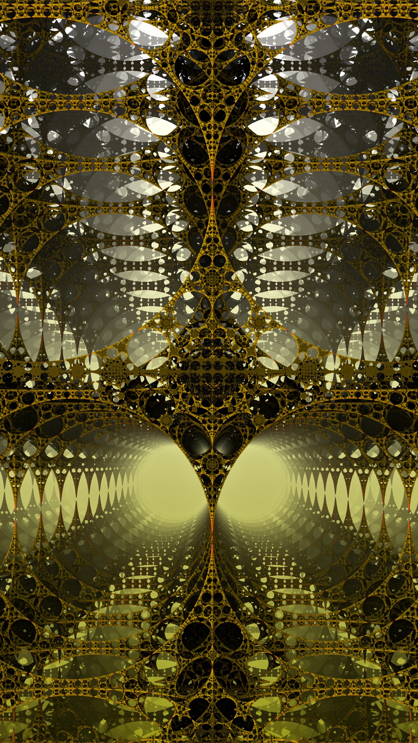 Schwarze Und Weiße Lichterketten. Wallpaper in 1440x2560 Resolution