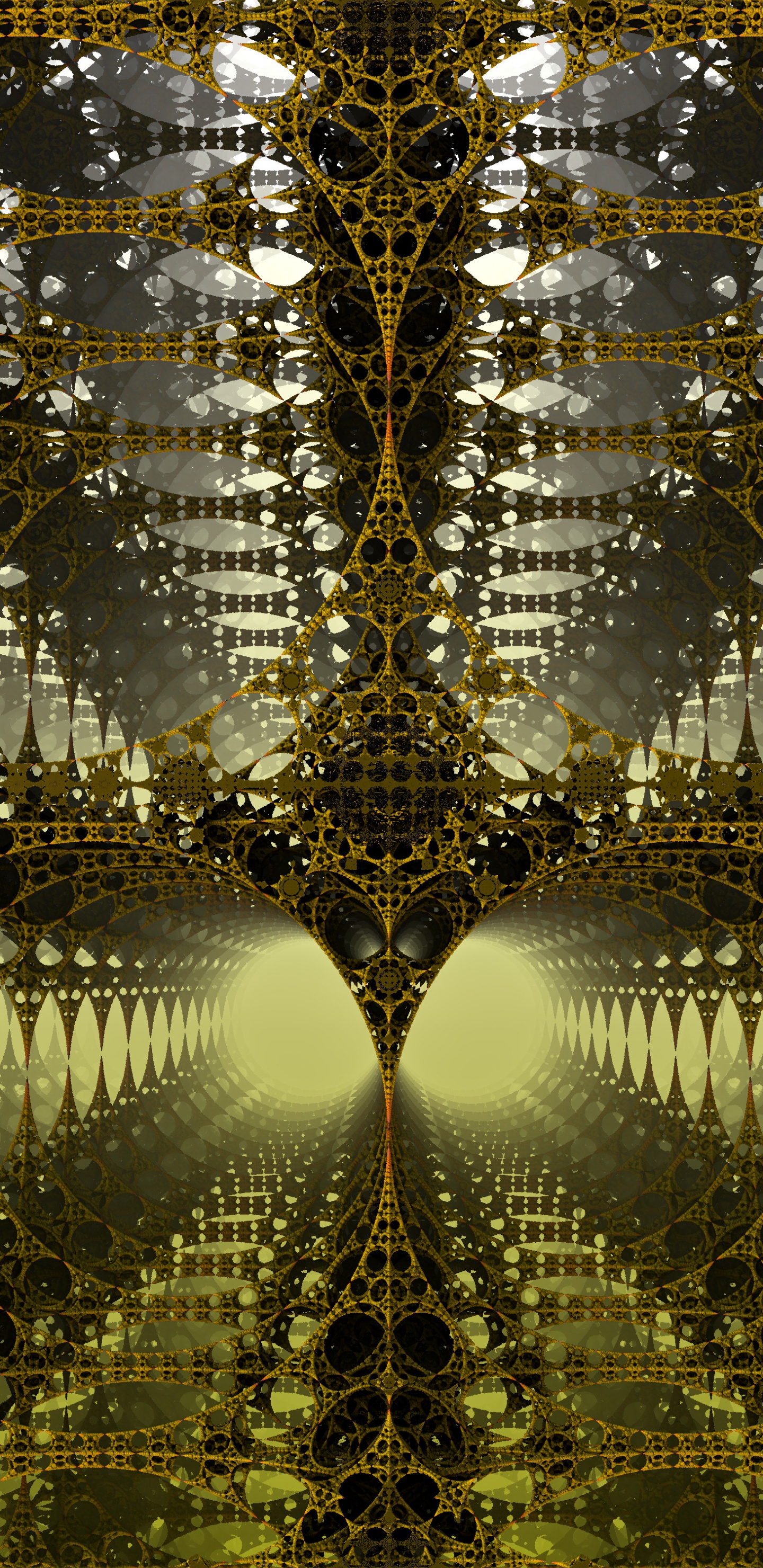 阳光, 森林, 反射, 对称, 黄色的 壁纸 1440x2960 允许