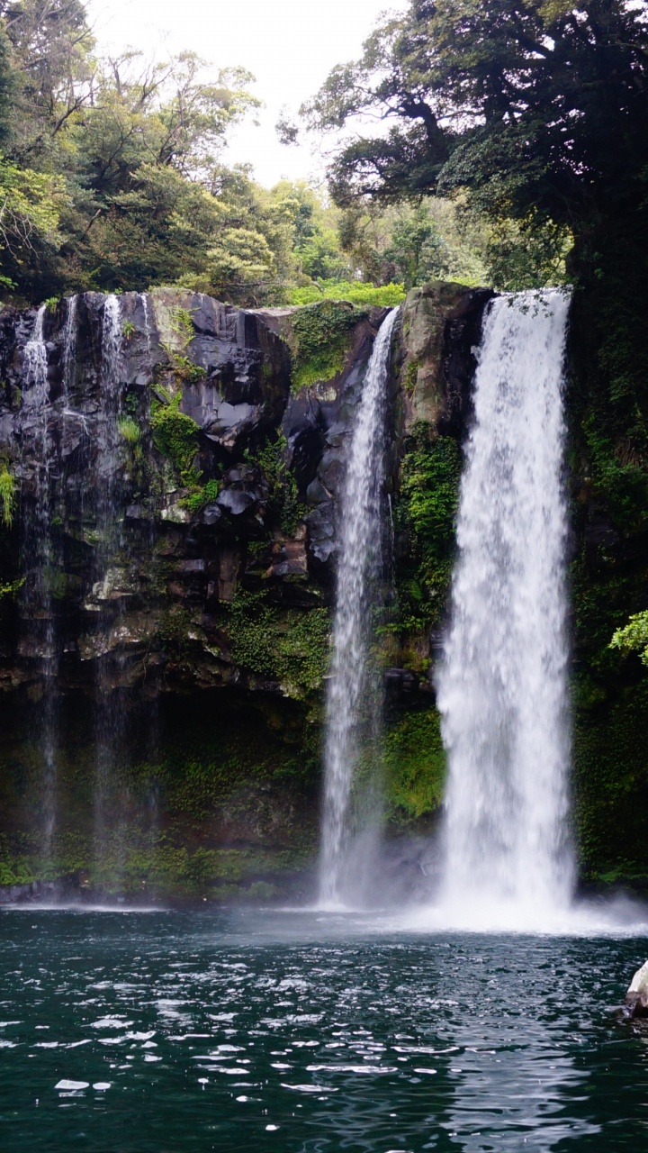 Waterfalls in The Middle of The Forest. Wallpaper in 720x1280 Resolution