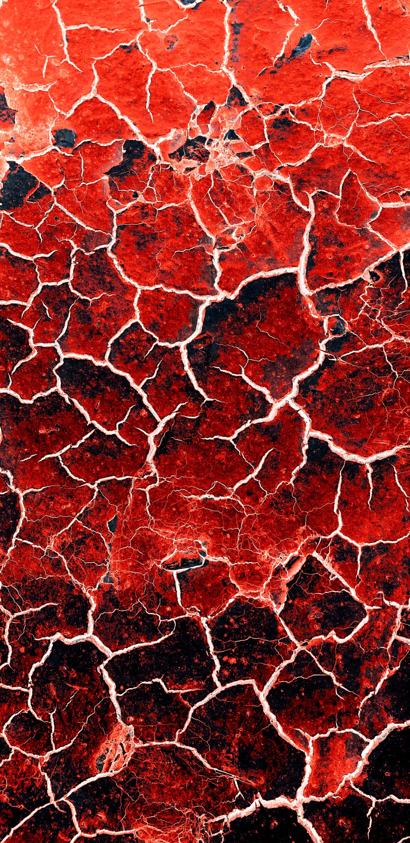 Textura de Lava Agrietada, Lava, Agua, Músculos, Organo. Wallpaper in 1440x2960 Resolution
