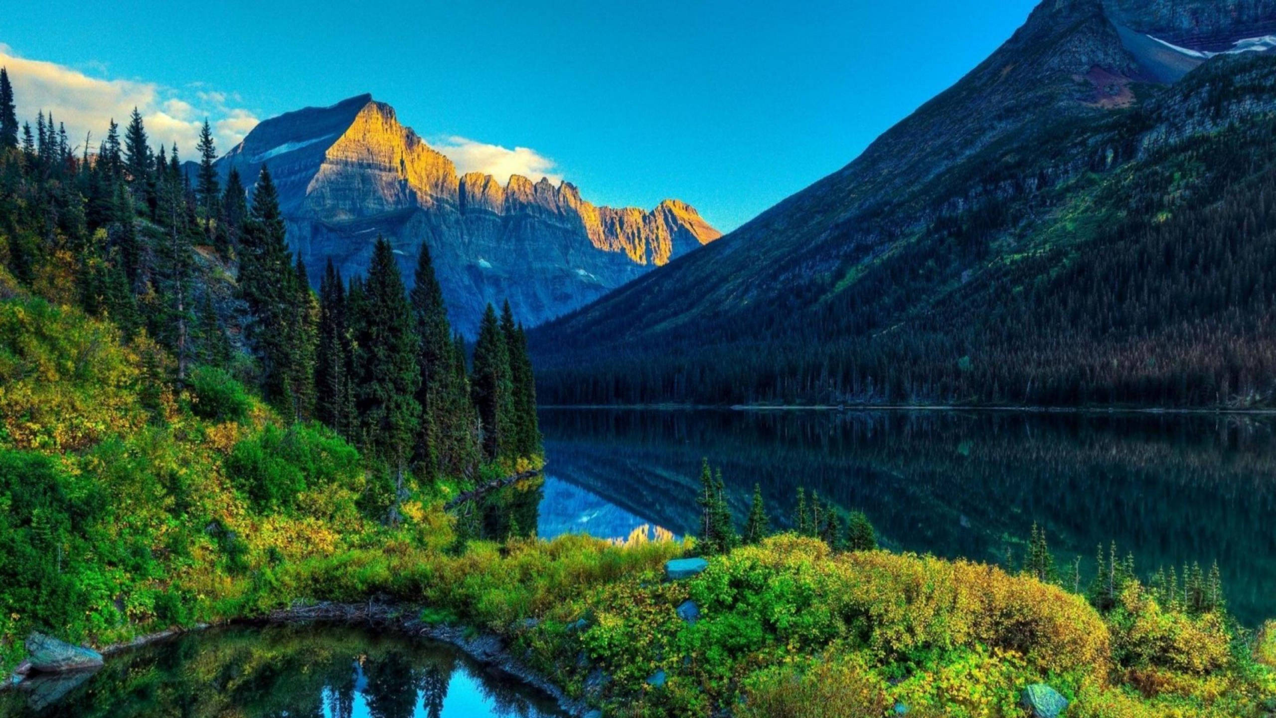 Green Trees Near Lake and Mountain During Daytime. Wallpaper in 2560x1440 Resolution