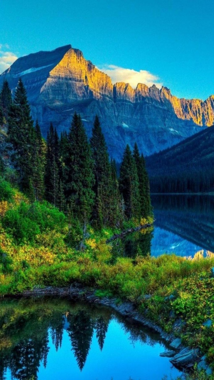 Green Trees Near Lake and Mountain During Daytime. Wallpaper in 720x1280 Resolution