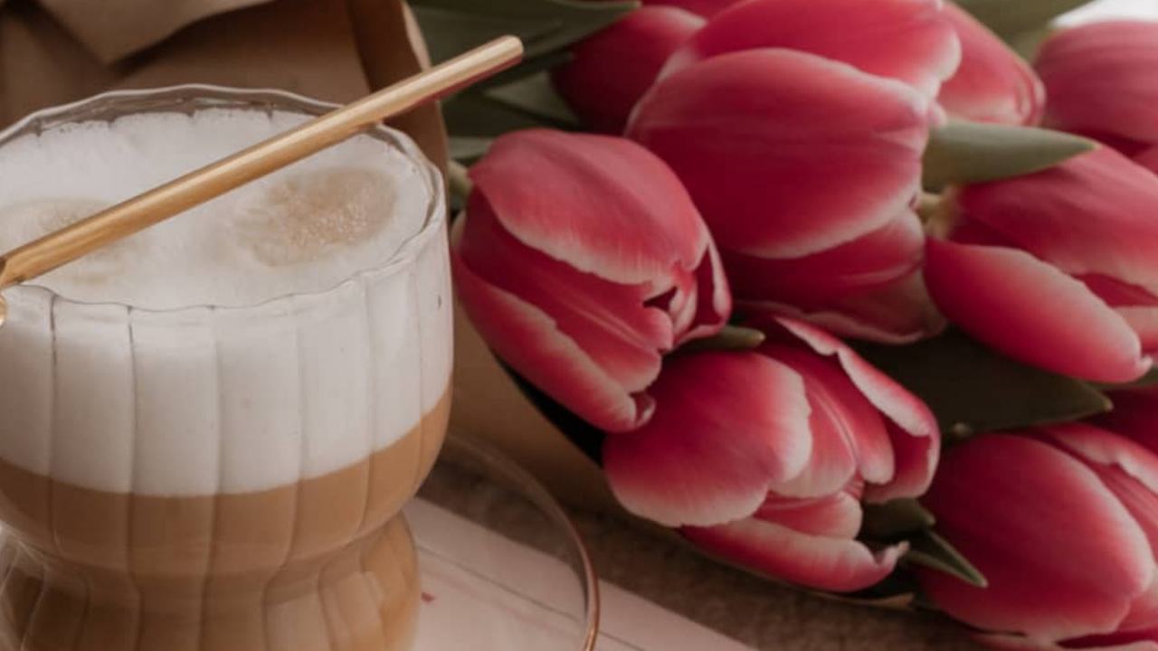 Rose, Flower, Plant, Petal, Ingredient. Wallpaper in 1280x720 Resolution