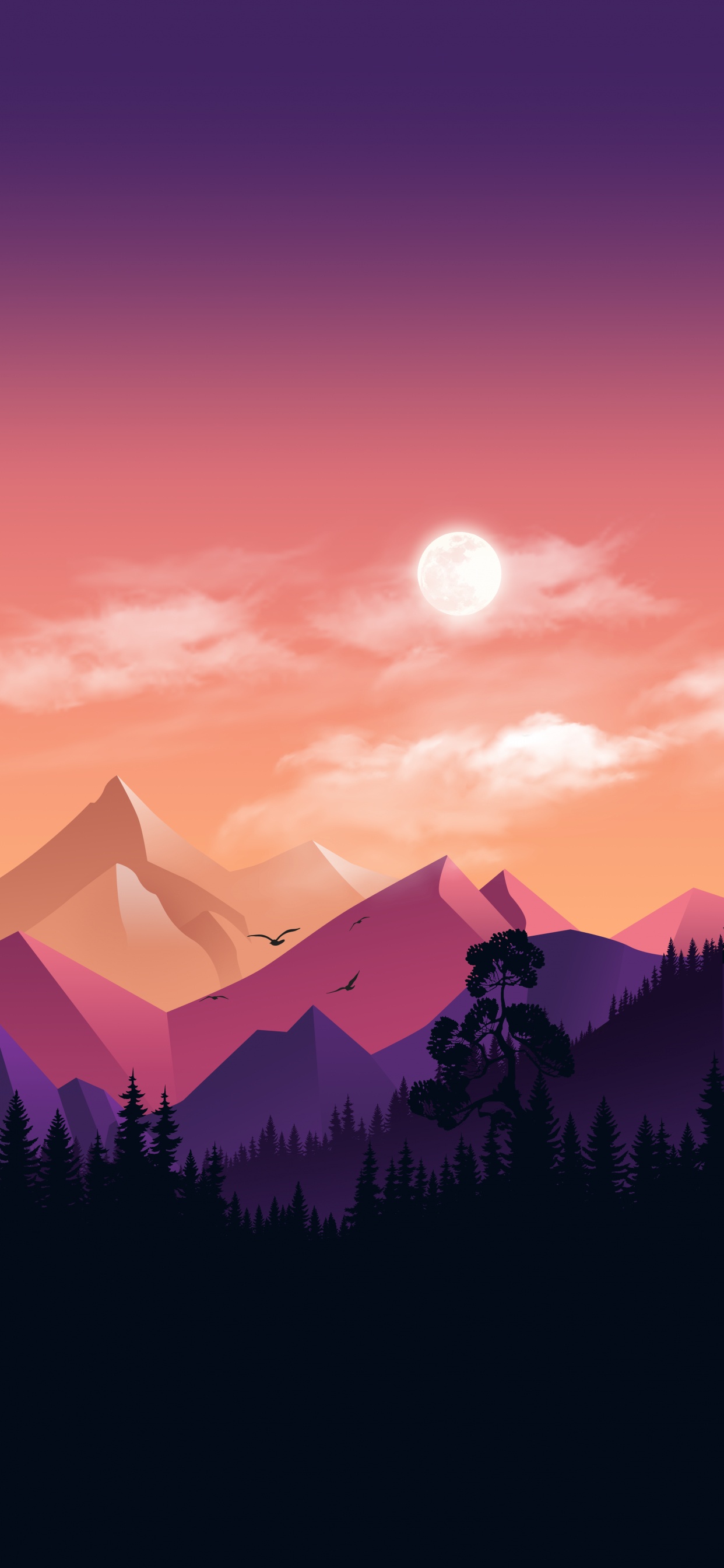 Atmosphère, L'écorégion, Afterglow, Paysage Naturel. Wallpaper in 1242x2688 Resolution