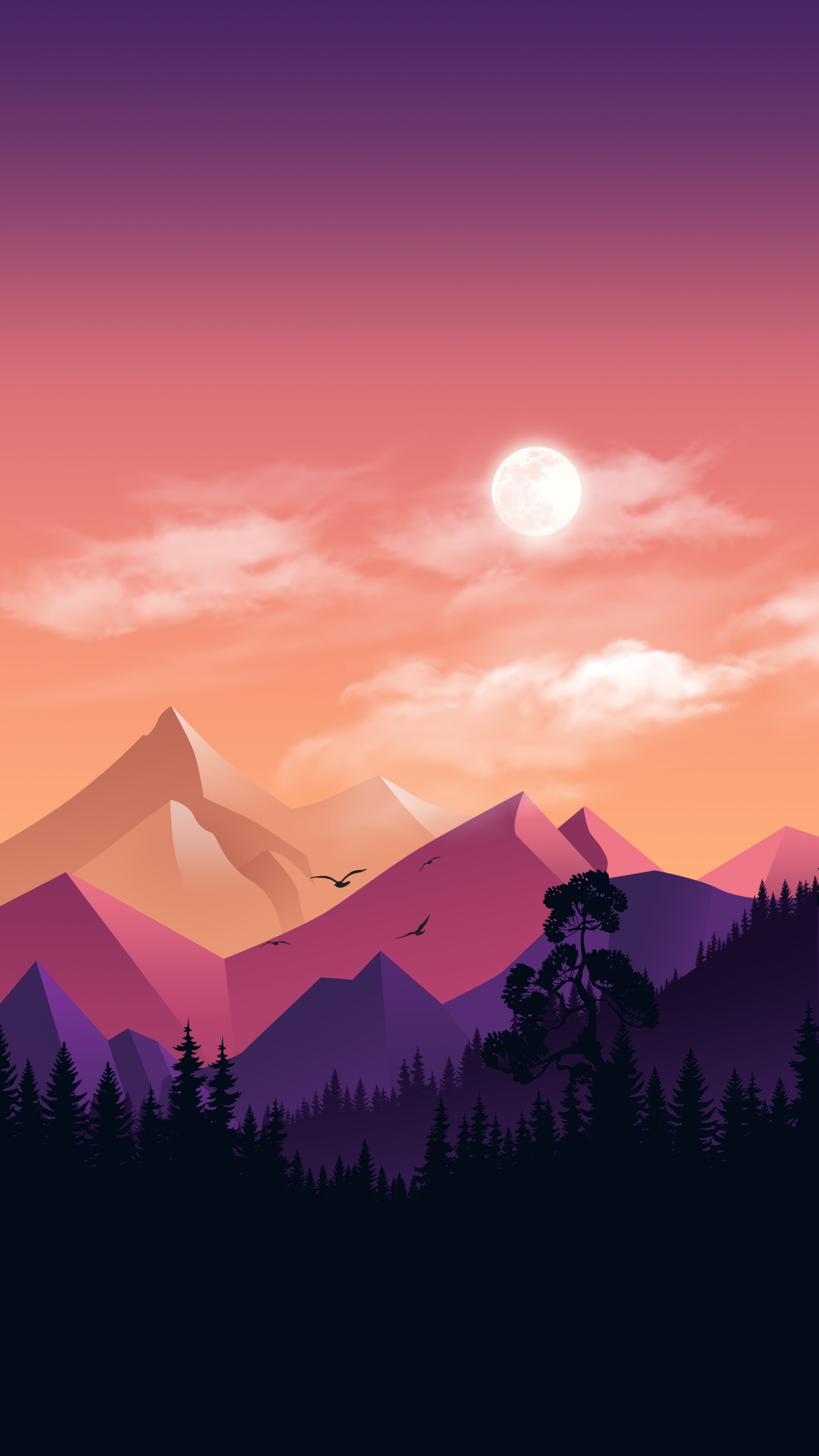 气氛, 生态区, 余辉, 自然景观 壁纸 1440x2560 允许