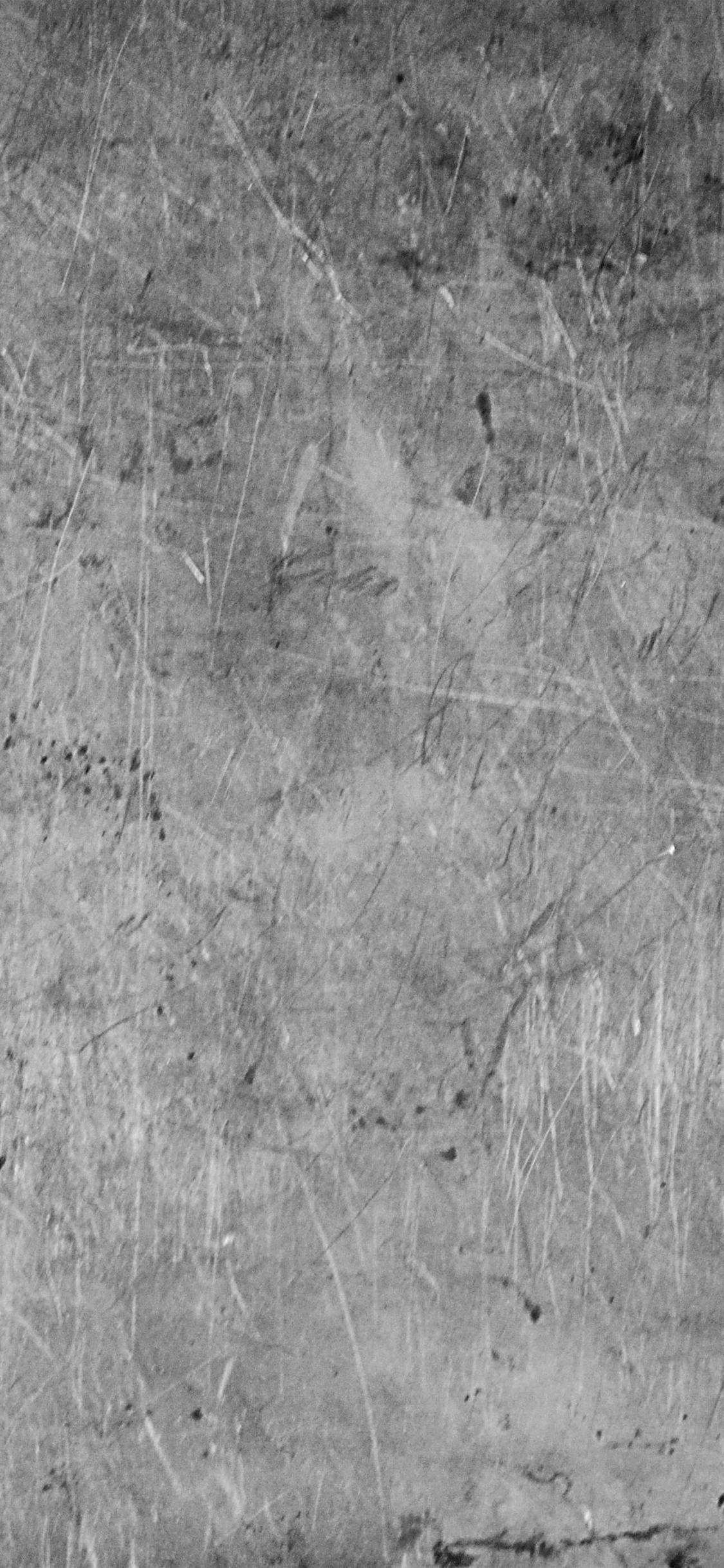 Grayscale Photo of Grass Field. Wallpaper in 1125x2436 Resolution