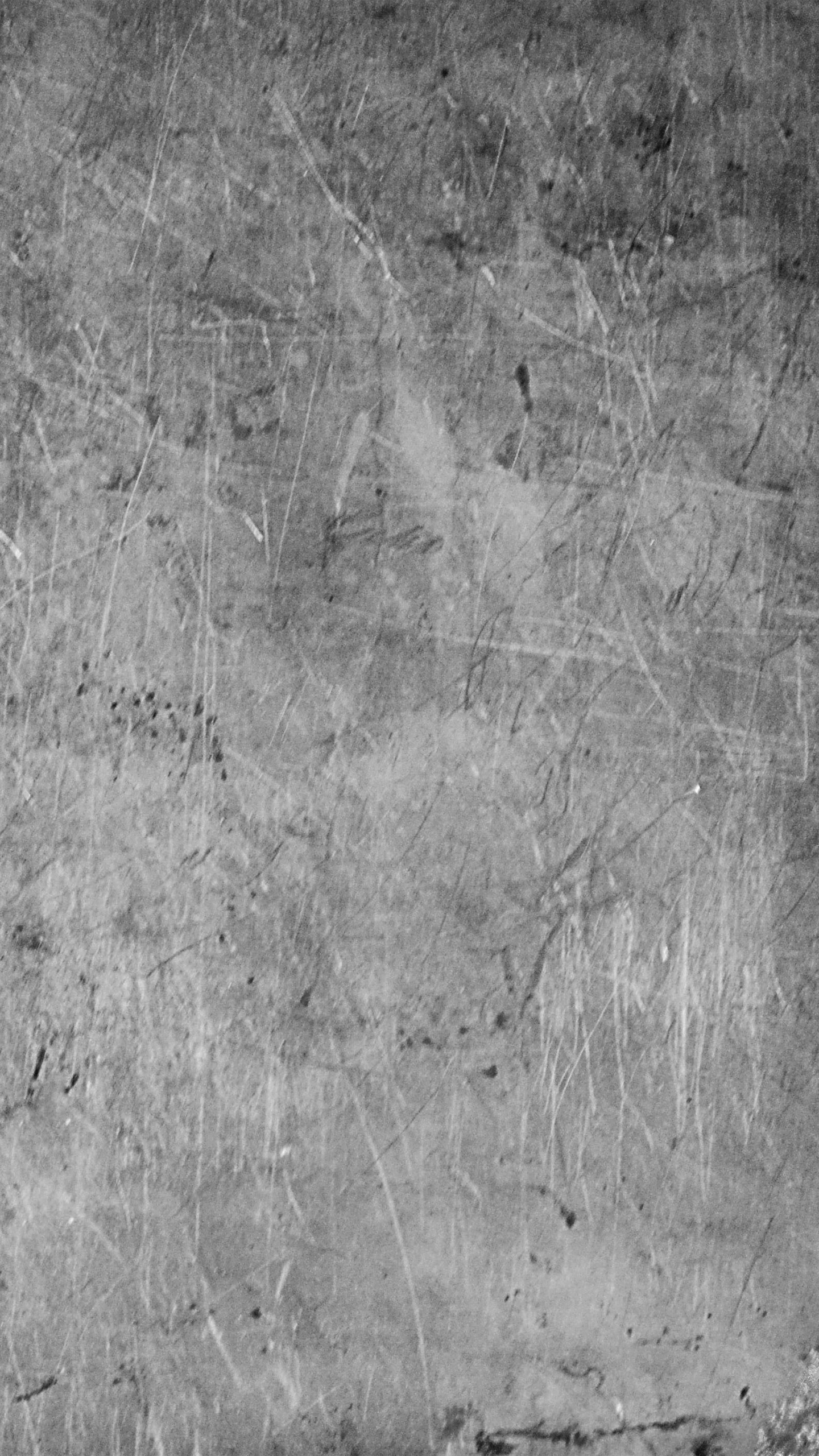 Photo en Niveaux de Gris D'un Champ D'herbe. Wallpaper in 1440x2560 Resolution