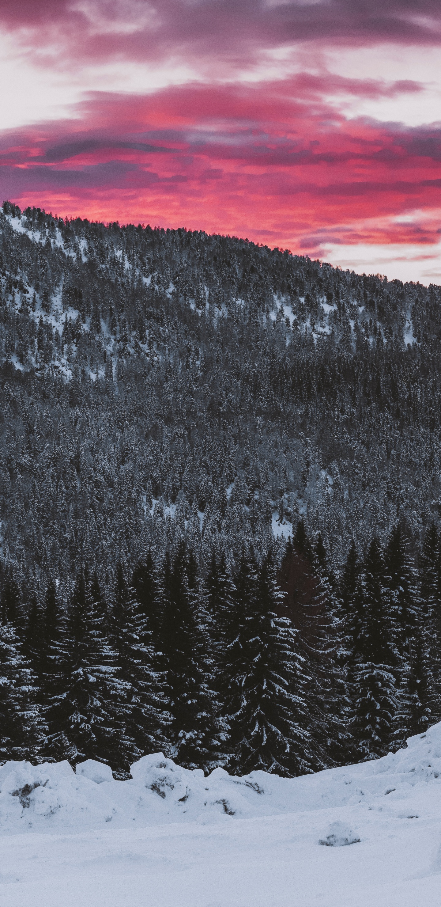 Neige, Hiver, Congélation, Les Reliefs Montagneux, Paysage Naturel. Wallpaper in 1440x2960 Resolution