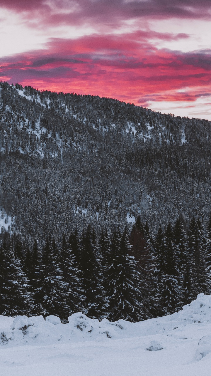 Neige, Hiver, Congélation, Les Reliefs Montagneux, Paysage Naturel. Wallpaper in 720x1280 Resolution