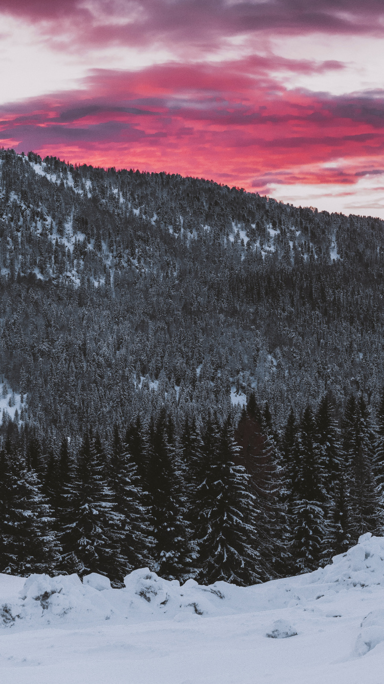 Neige, Hiver, Congélation, Les Reliefs Montagneux, Paysage Naturel. Wallpaper in 750x1334 Resolution