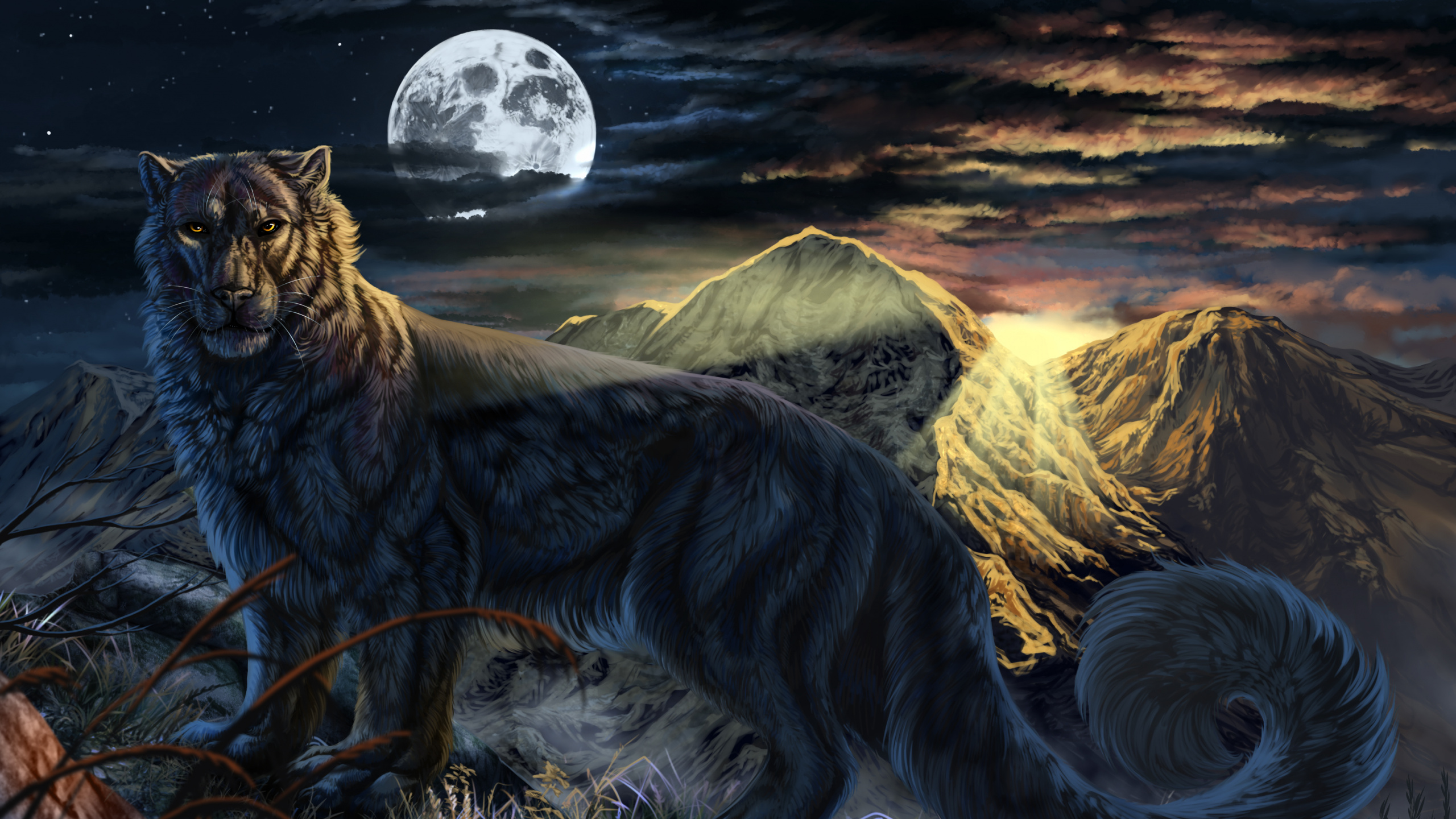 Brauner Wolf Auf Schneebedecktem Boden Tagsüber. Wallpaper in 2560x1440 Resolution