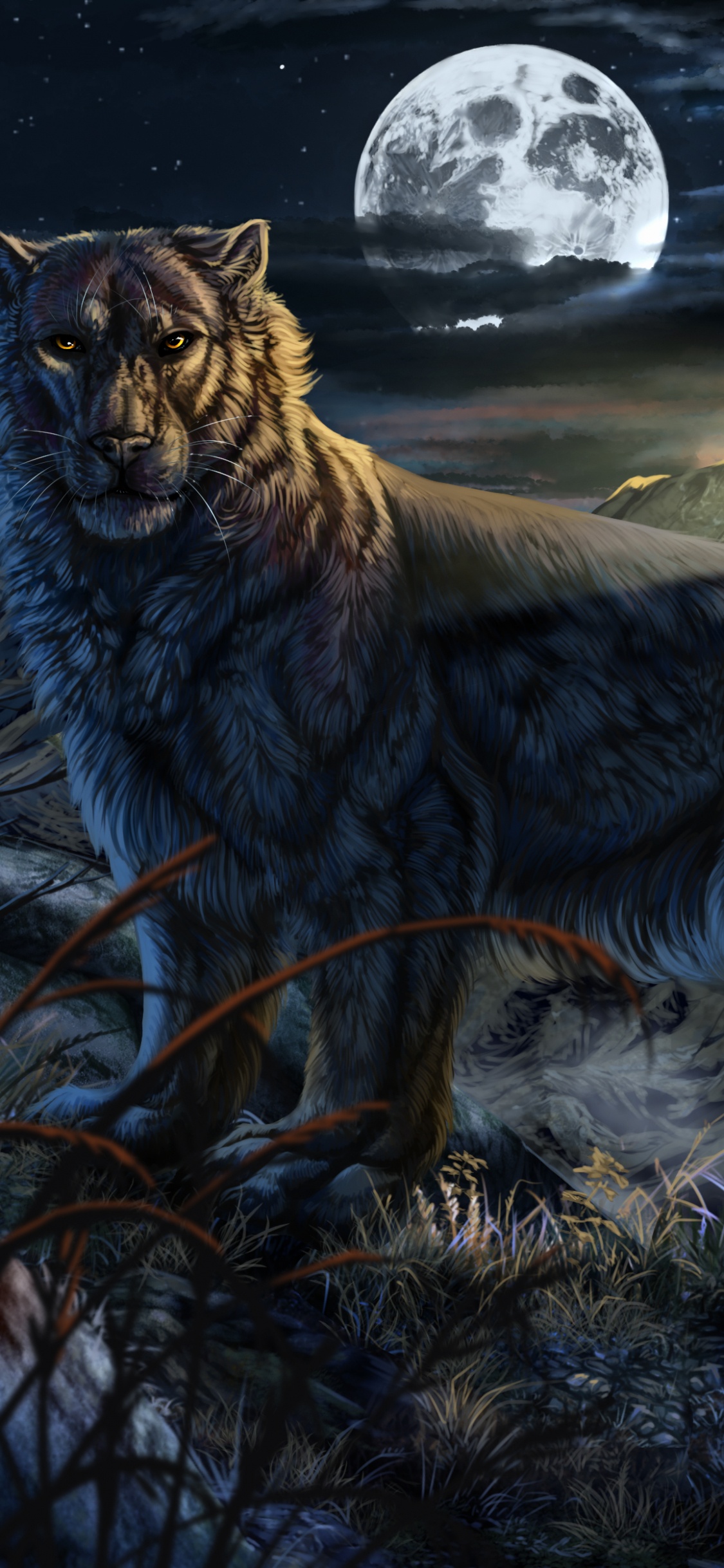 Lobo Marrón Sobre Suelo Cubierto de Nieve Durante el Día. Wallpaper in 1125x2436 Resolution