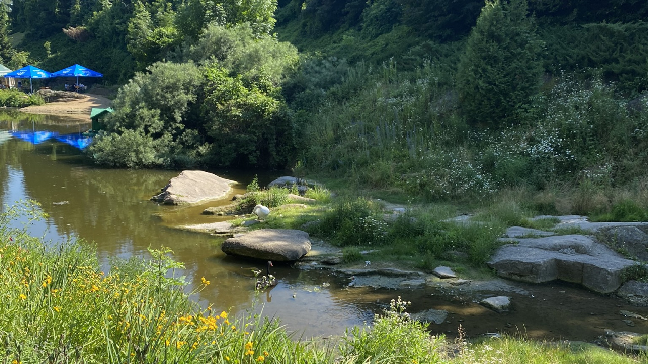 Fluss, Vegetation, Naturlandschaft, Pflanzen-Gemeinschaft, Bank. Wallpaper in 1280x720 Resolution