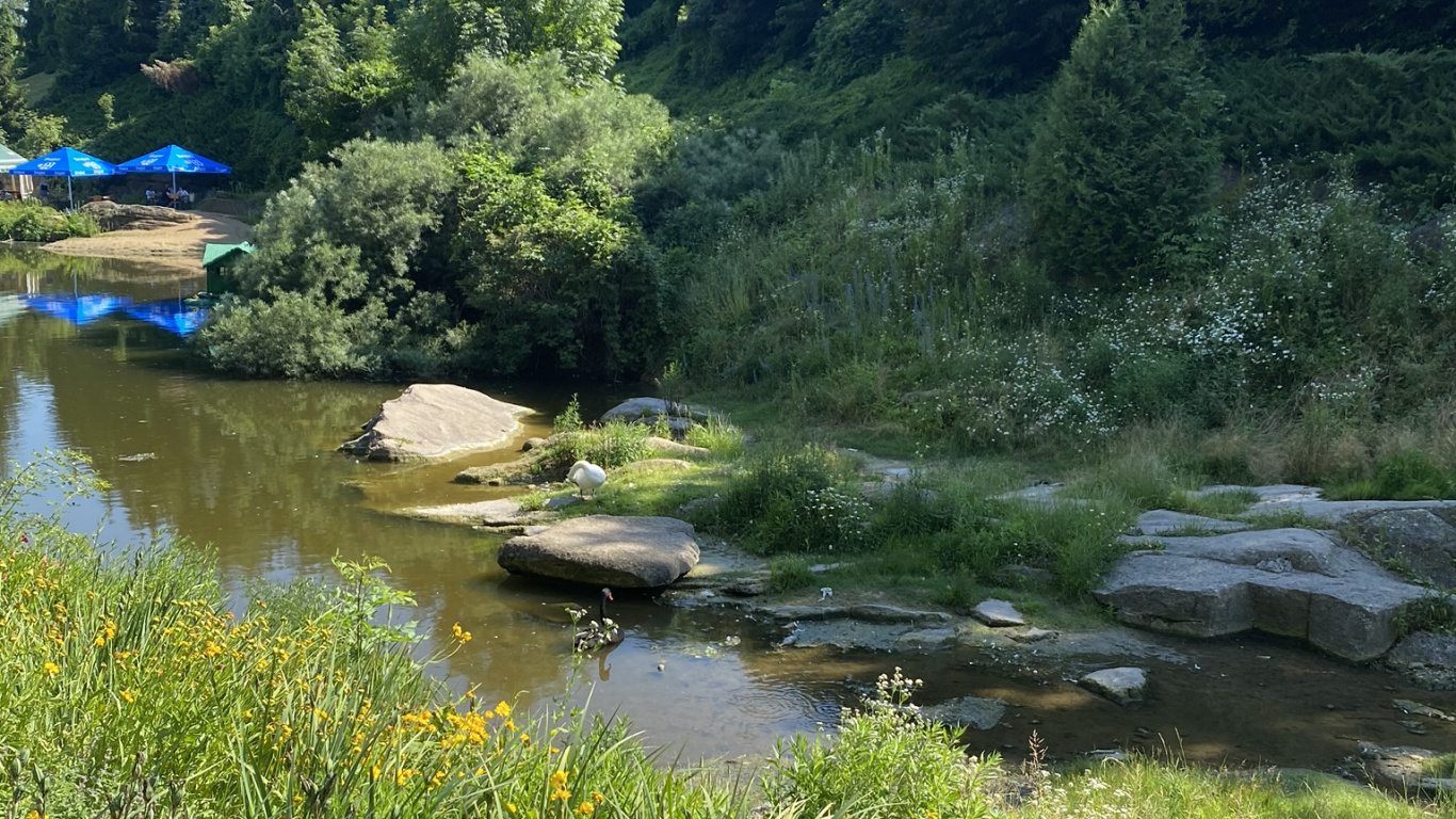 Fluss, Vegetation, Naturlandschaft, Pflanzen-Gemeinschaft, Bank. Wallpaper in 1366x768 Resolution