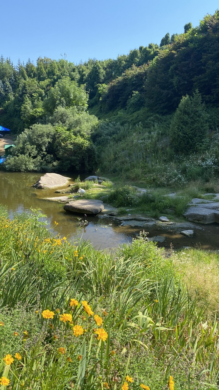 Fluss, Vegetation, Naturlandschaft, Pflanzen-Gemeinschaft, Bank. Wallpaper in 720x1280 Resolution