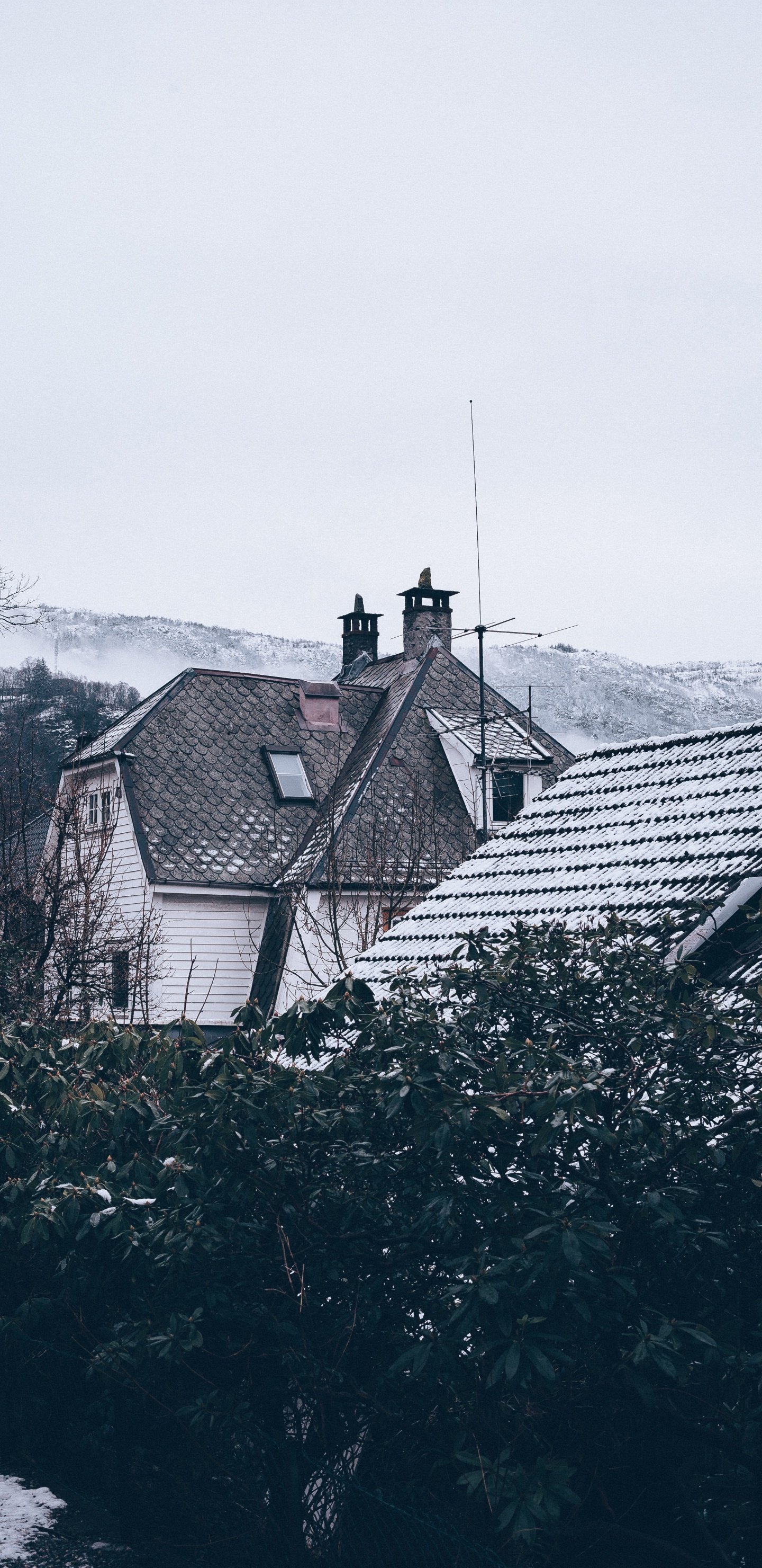 Maison Blanche et Brune Près Des Arbres Verts Pendant la Journée. Wallpaper in 1440x2960 Resolution