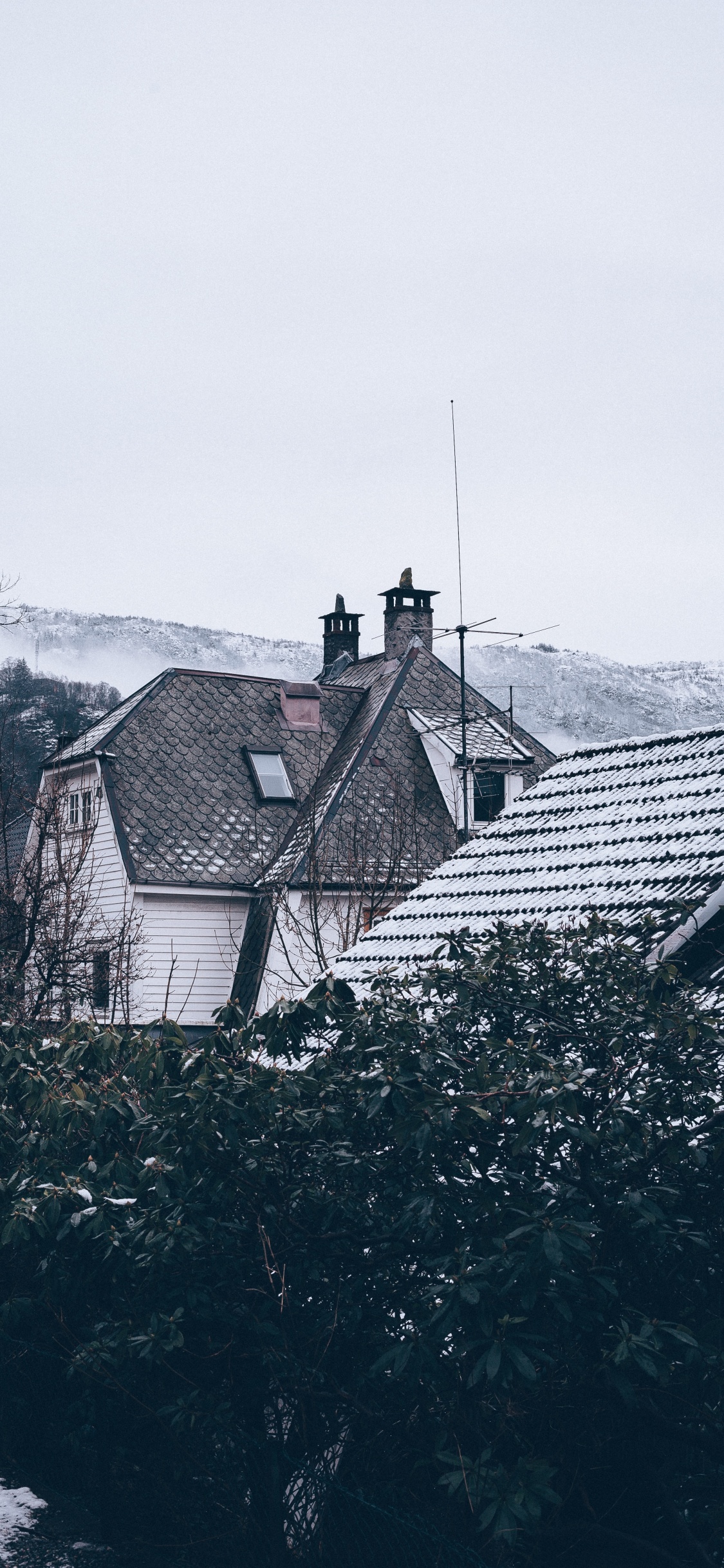 White and Brown House Near Green Trees During Daytime. Wallpaper in 1125x2436 Resolution