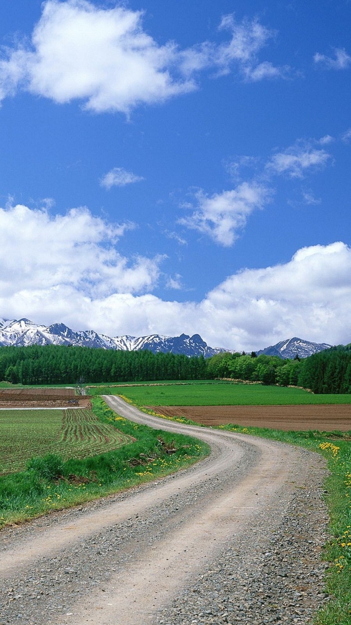 Tagsüber Grüne Wiese Unter Blauem Himmel. Wallpaper in 720x1280 Resolution