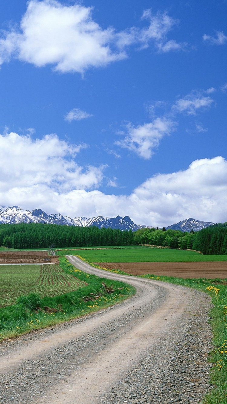 Campo de Hierba Verde Bajo un Cielo Azul Durante el Día. Wallpaper in 750x1334 Resolution