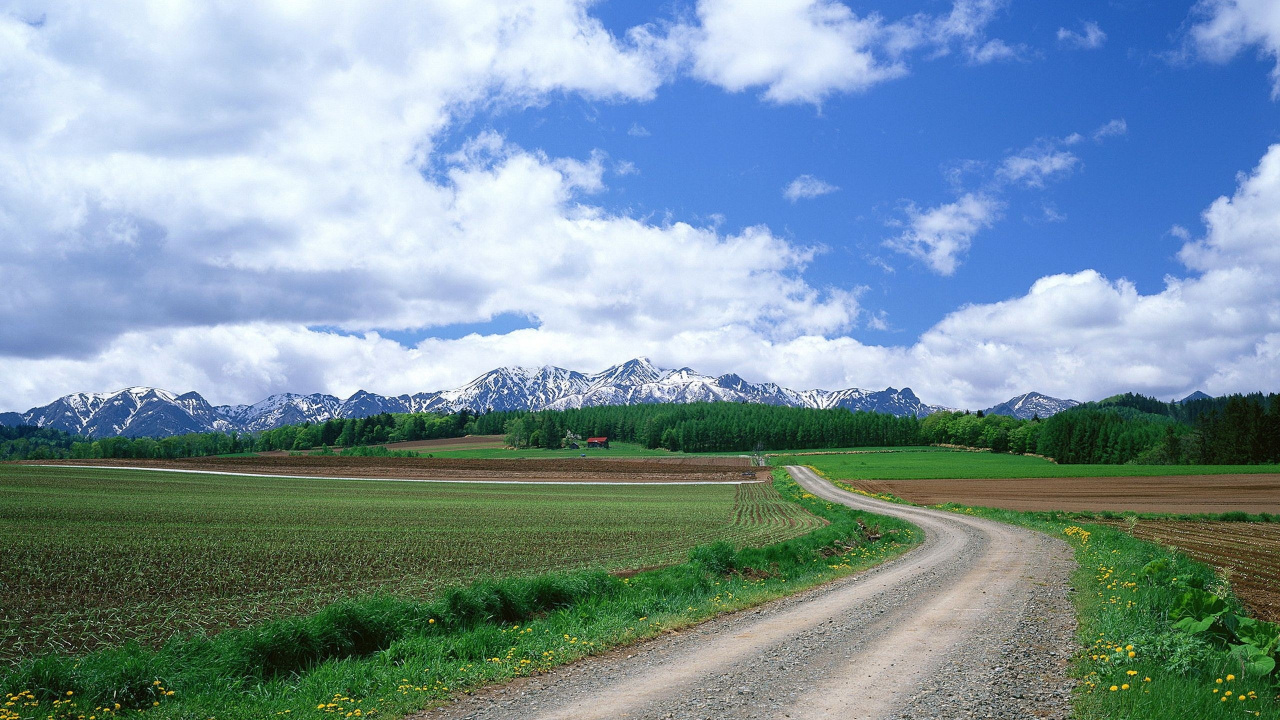 Green Grass Field Under Blue Sky During Daytime. Wallpaper in 1280x720 Resolution