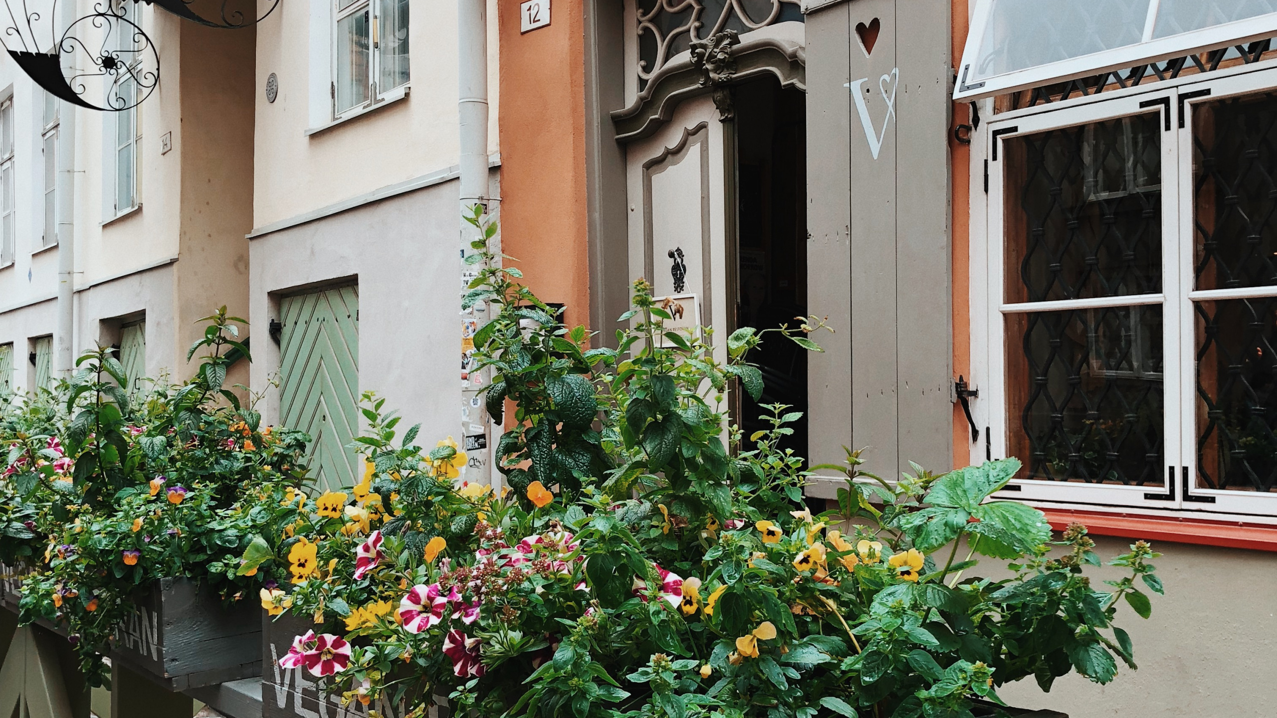 Fenster, Holz, Gebäude, Holz-Fleck, Floristik. Wallpaper in 2560x1440 Resolution