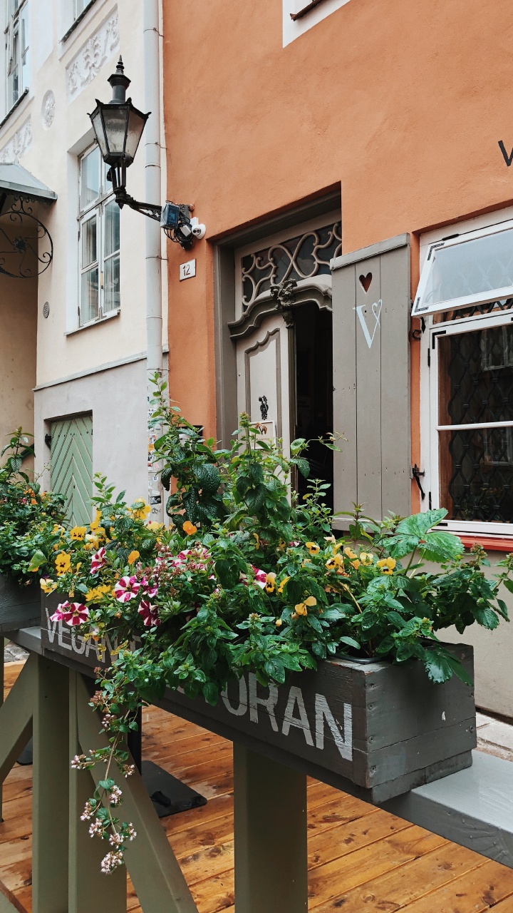 Ventana, Madera, Edificio, Accesorio, Tinte Para Madera. Wallpaper in 720x1280 Resolution