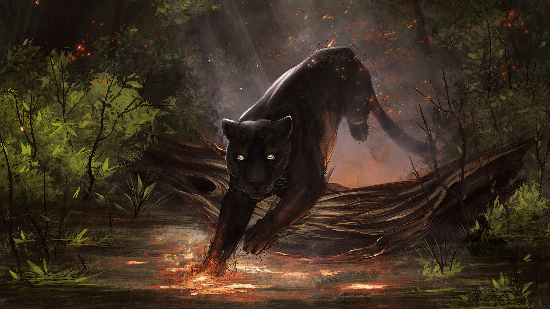 Jaguar de Fuego, Jaguar, Ecorregión, La Gente en la Naturaleza, Carnívoro. Wallpaper in 1920x1080 Resolution