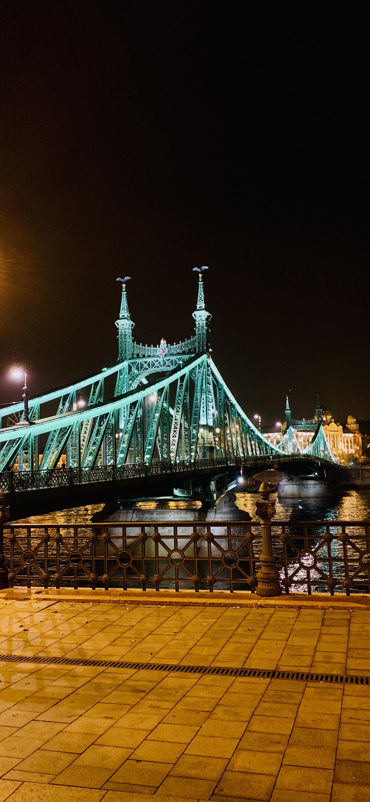 Pont de la Liberté, Eau, Lumière, Lumière de Rue, Électricité. Wallpaper in 1242x2688 Resolution