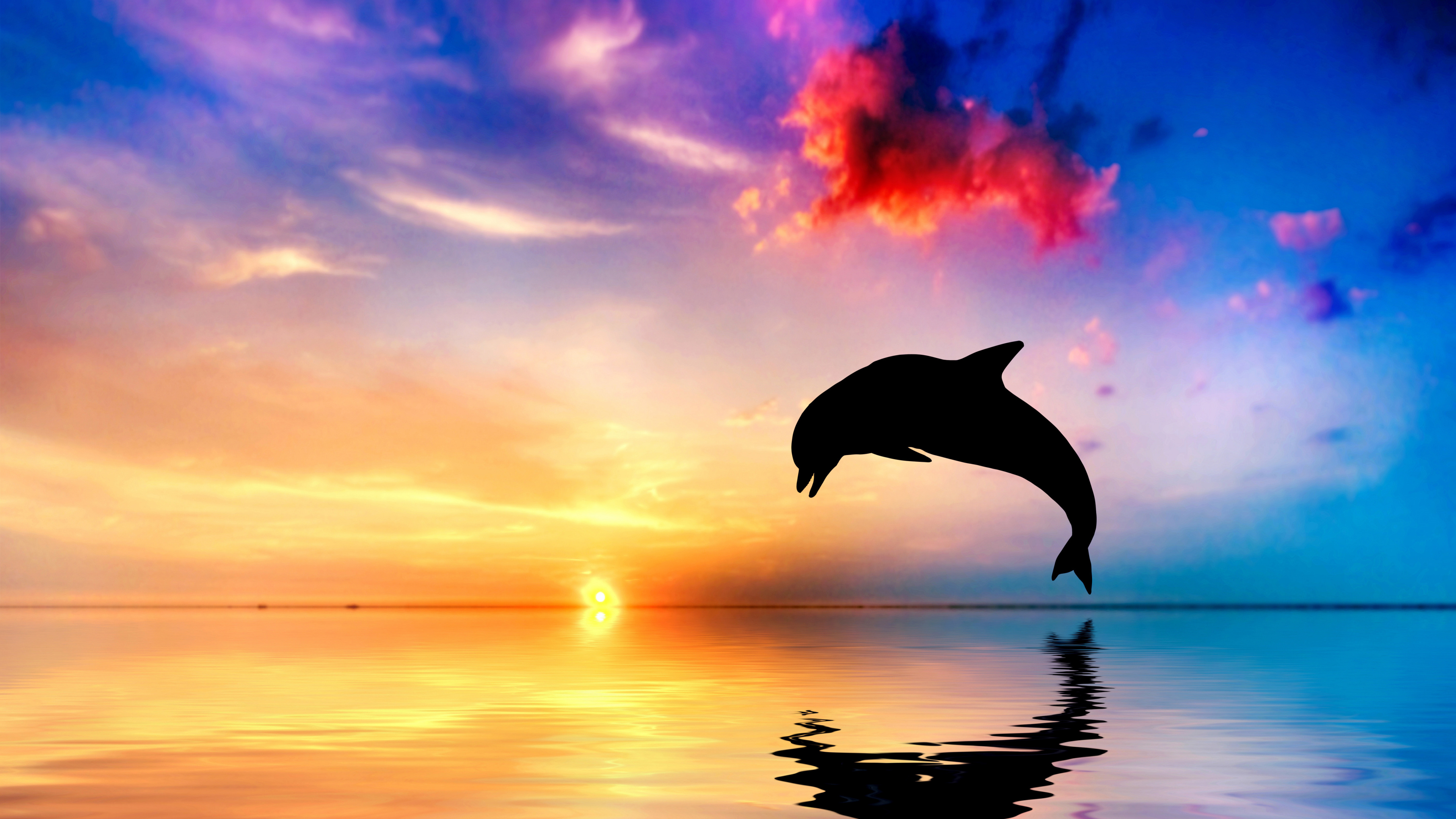 Silhouette D'oiseau Survolant le Lac au Coucher du Soleil. Wallpaper in 3840x2160 Resolution