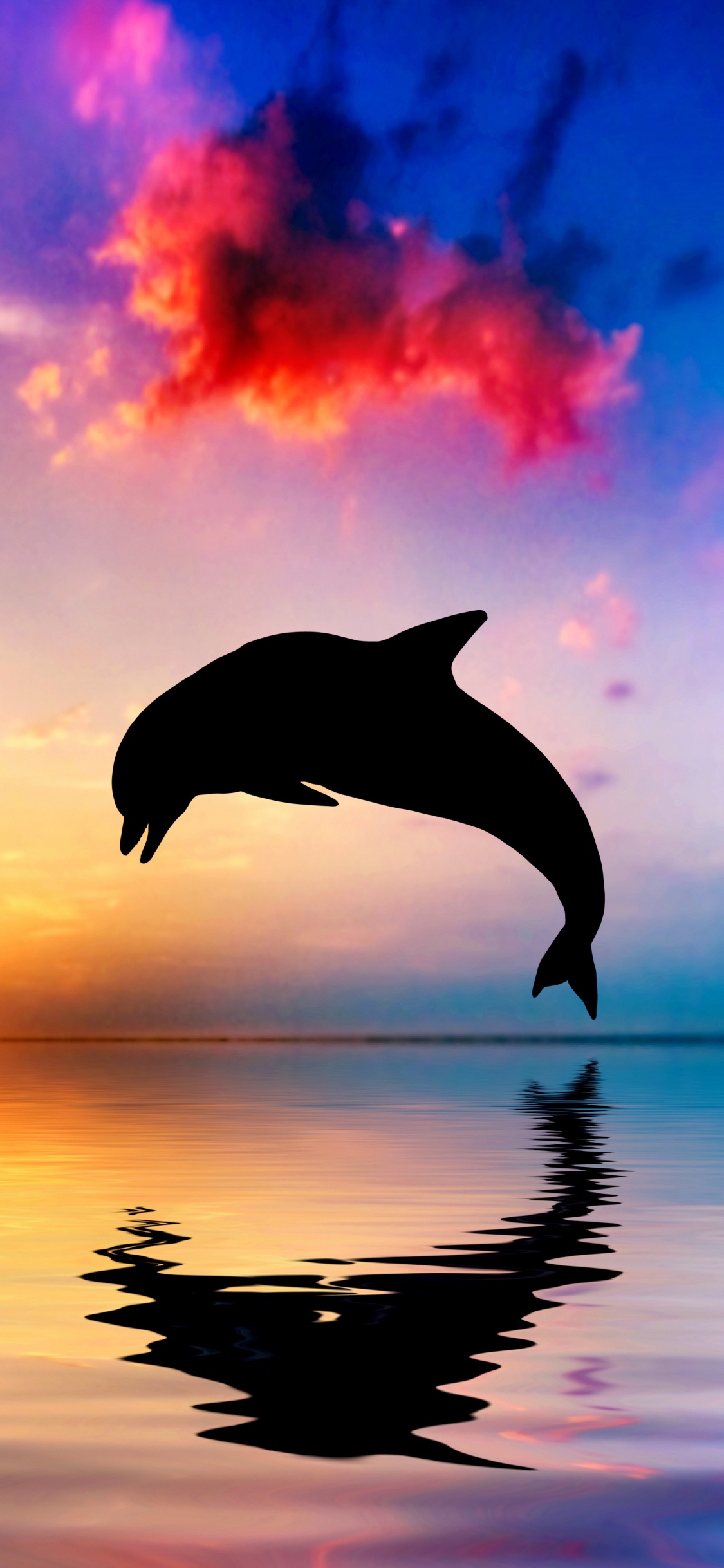 Silhouette of Bird Flying Over The Lake During Sunset. Wallpaper in 1125x2436 Resolution