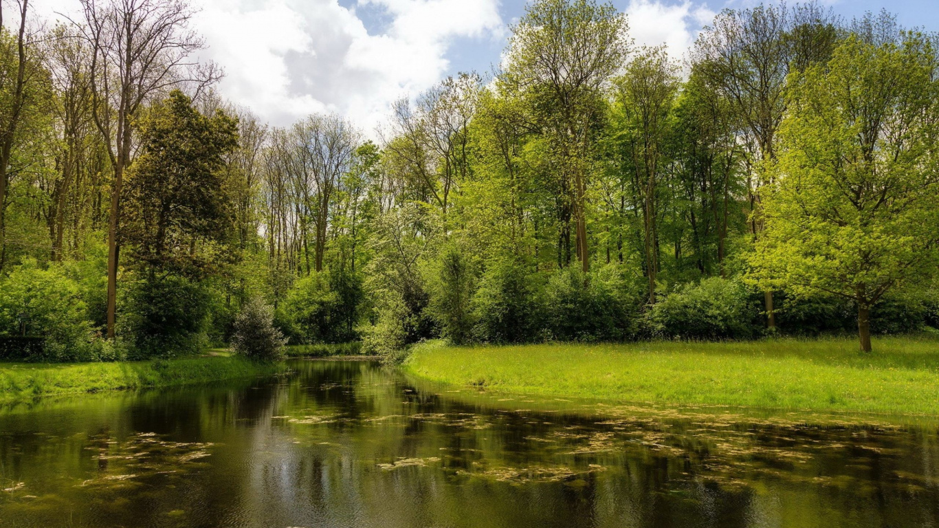 Campo de Hierba Verde y Árboles Junto al Río Bajo un Cielo Azul y Nubes Blancas Durante el Día. Wallpaper in 1366x768 Resolution