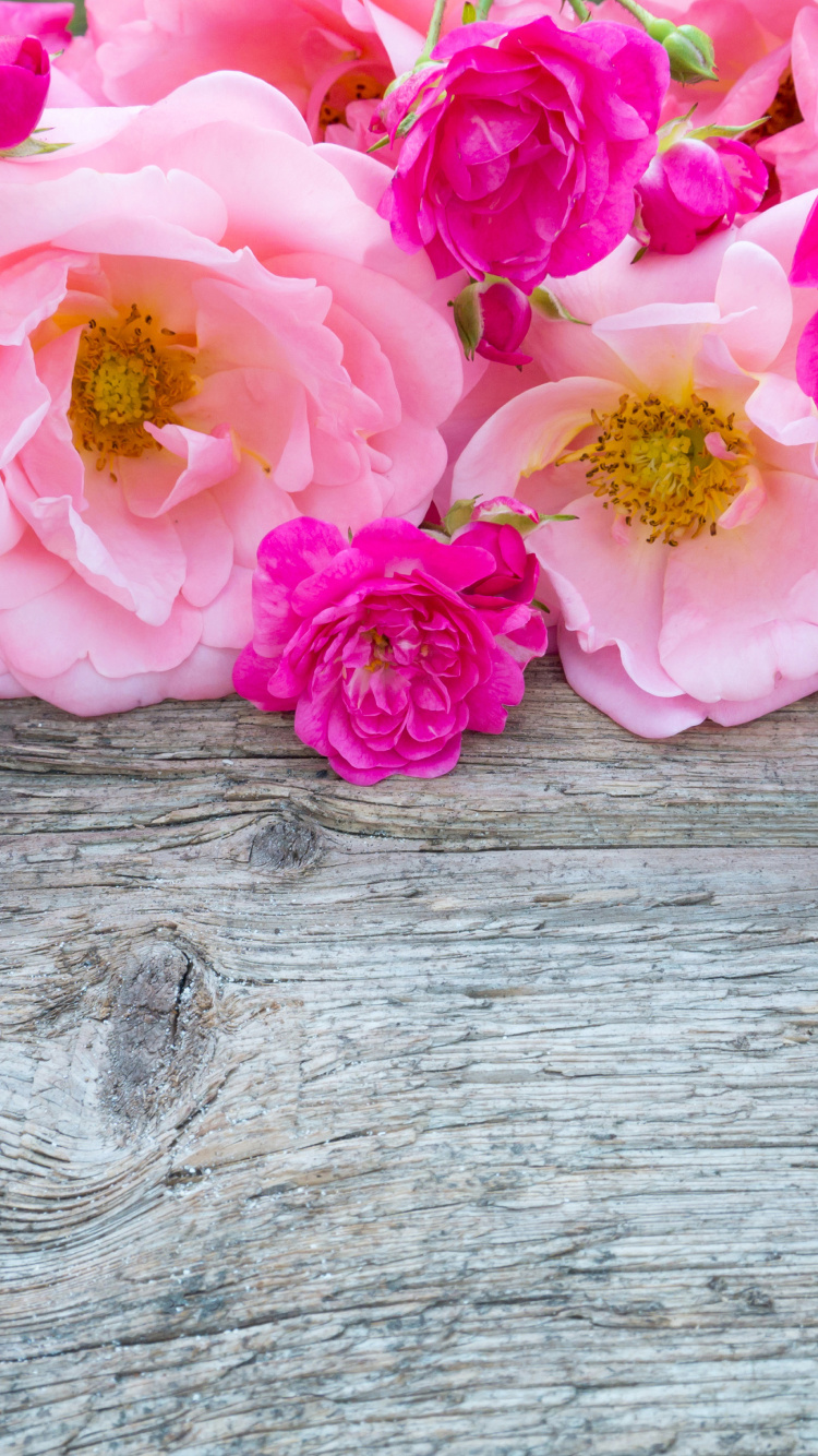 Pink Roses on Brown Wooden Surface. Wallpaper in 750x1334 Resolution
